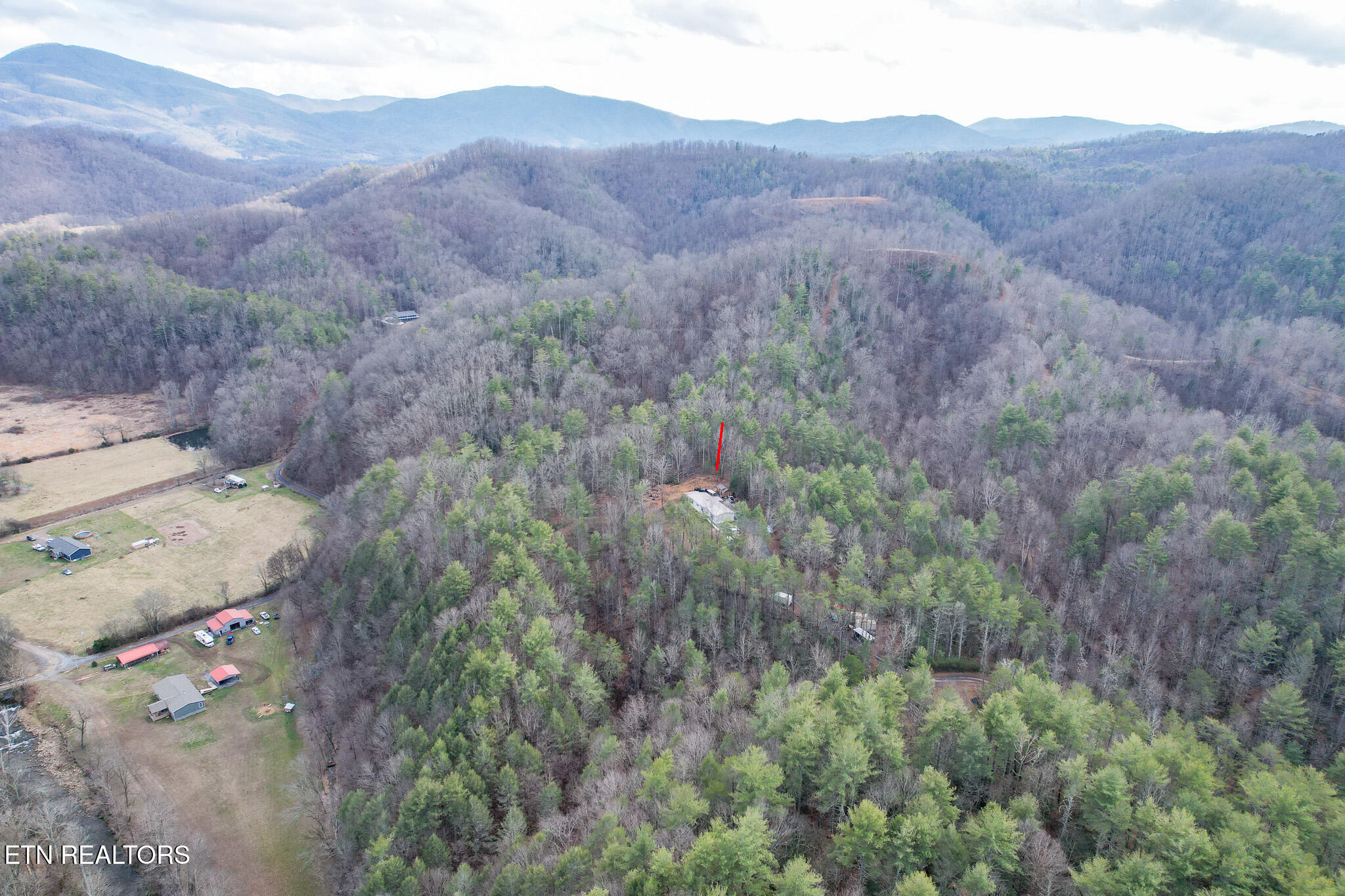 474 Punkton Road Del Rio, TN 37727 - Photo 40 of 58 DJI_0743-Edit