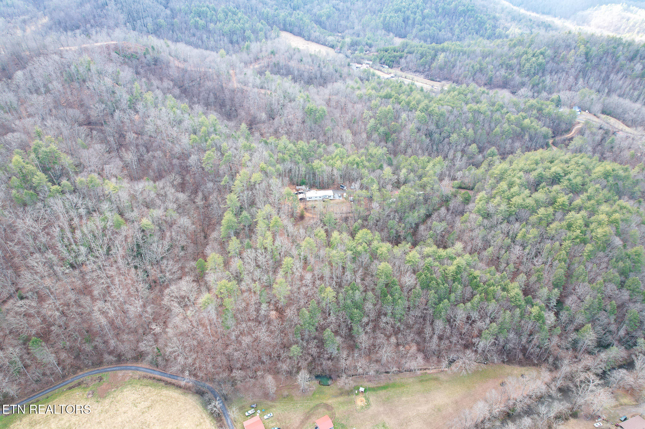 474 Punkton Road Del Rio, TN 37727 - Photo 42 of 58 DJI_0739