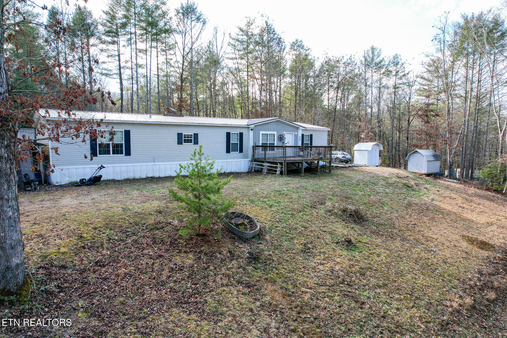 474 Punkton Road Del Rio, TN 37727 - Photo 45 of 58 DJI_0728