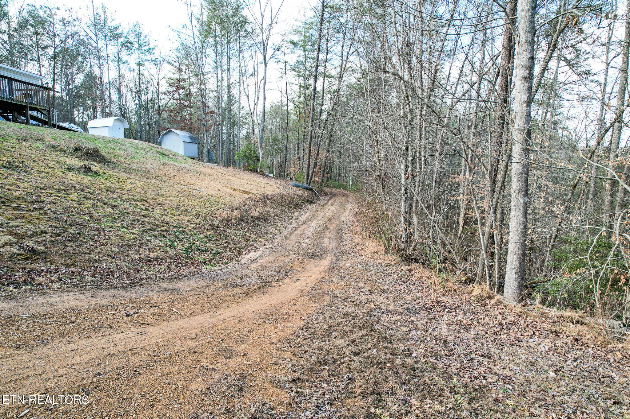474 Punkton Road Del Rio, TN 37727 - Photo 46 of 58 DJI_0727