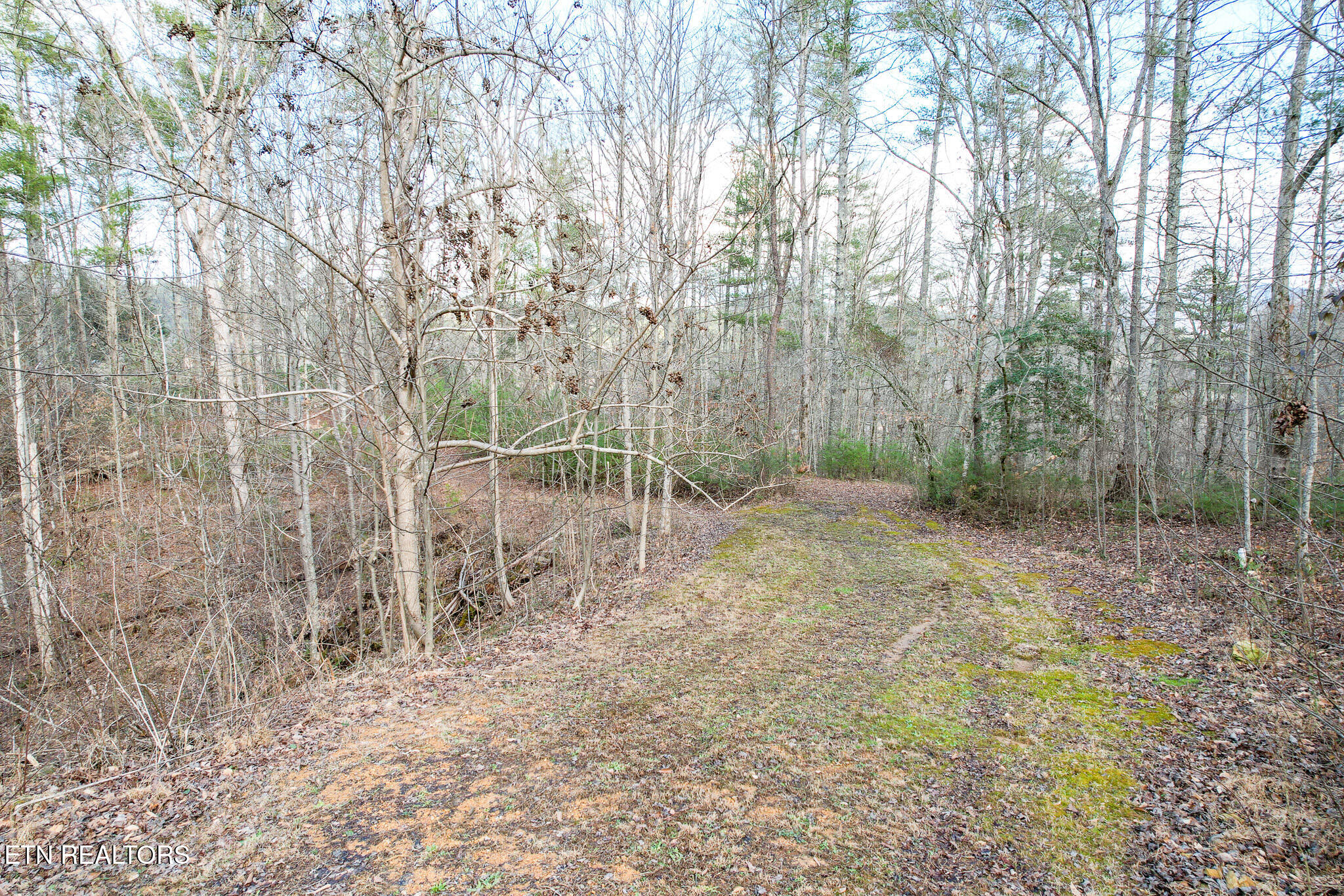 474 Punkton Road Del Rio, TN 37727 - Photo 47 of 58 DJI_0726
