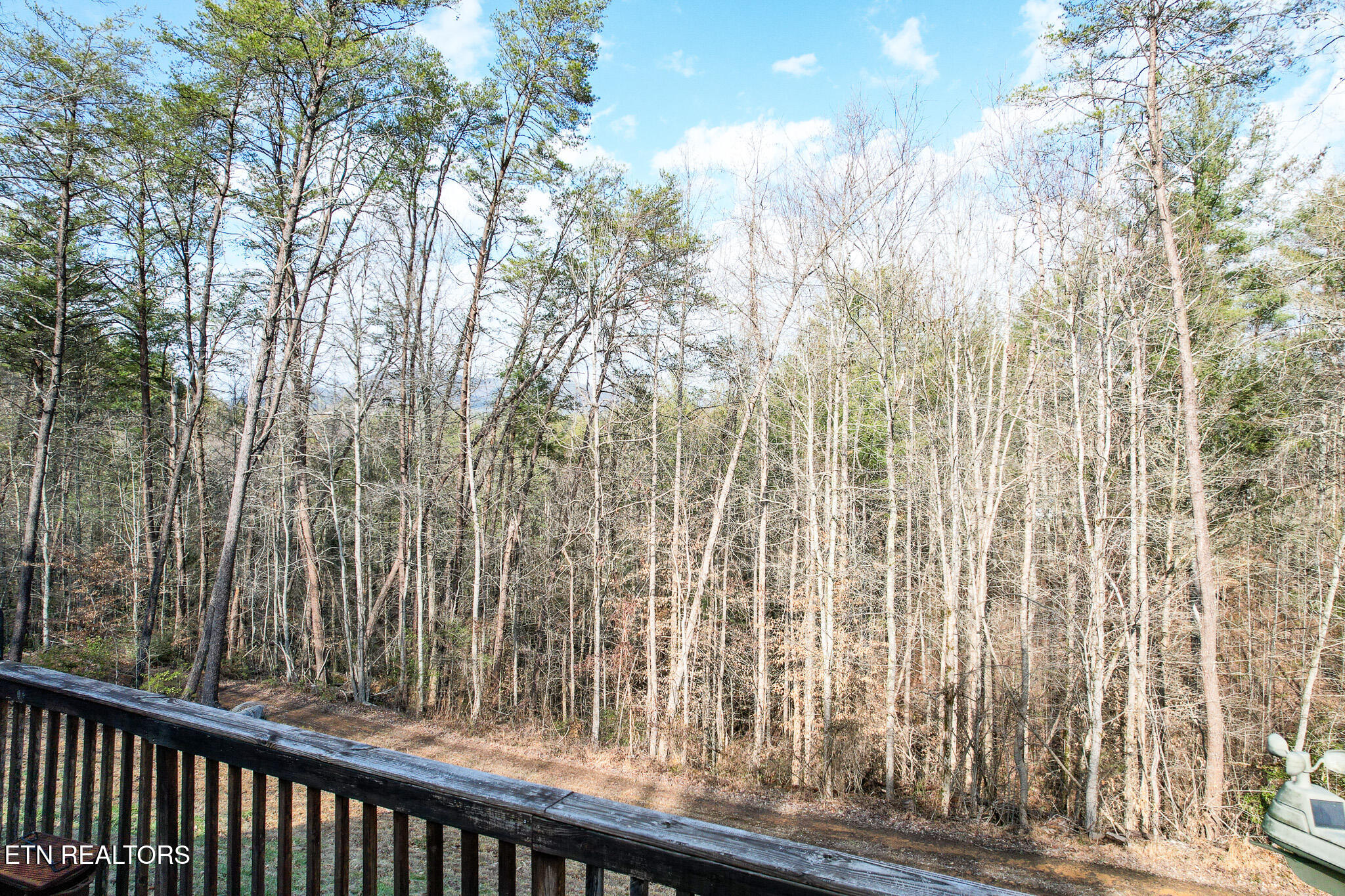 474 Punkton Road Del Rio, TN 37727 - Photo 54 of 58 DJI_0715