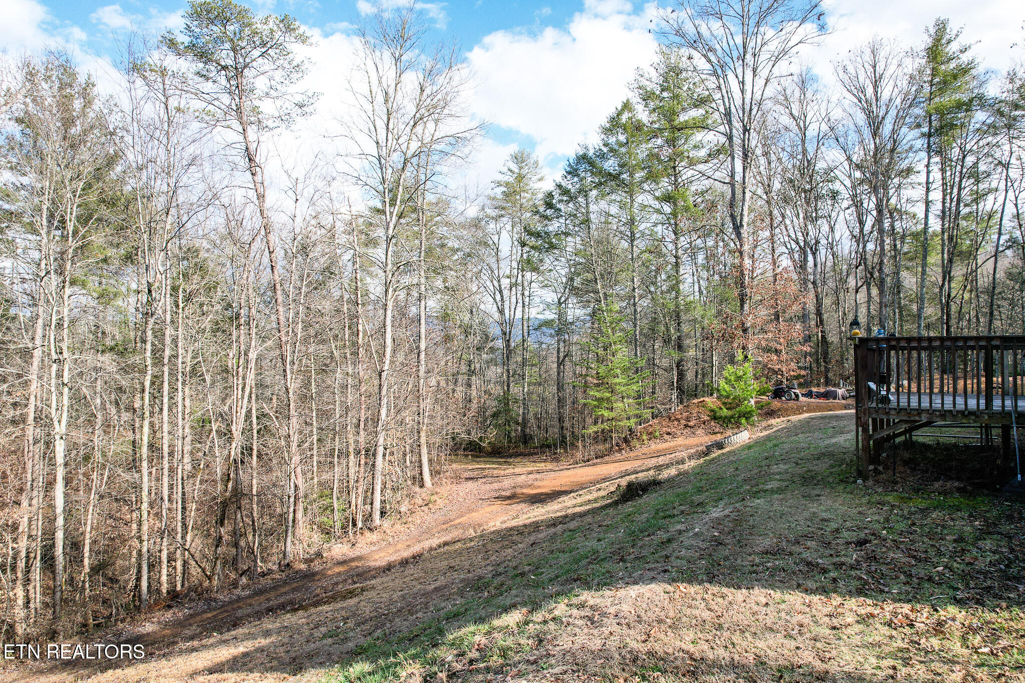 474 Punkton Road Del Rio, TN 37727 - Photo 55 of 58 DJI_0712