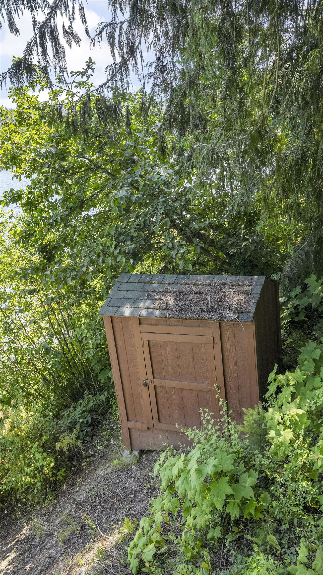 5274 Horseshoe Lake Road Deer Park, WA 99006 - Photo 33 of 45