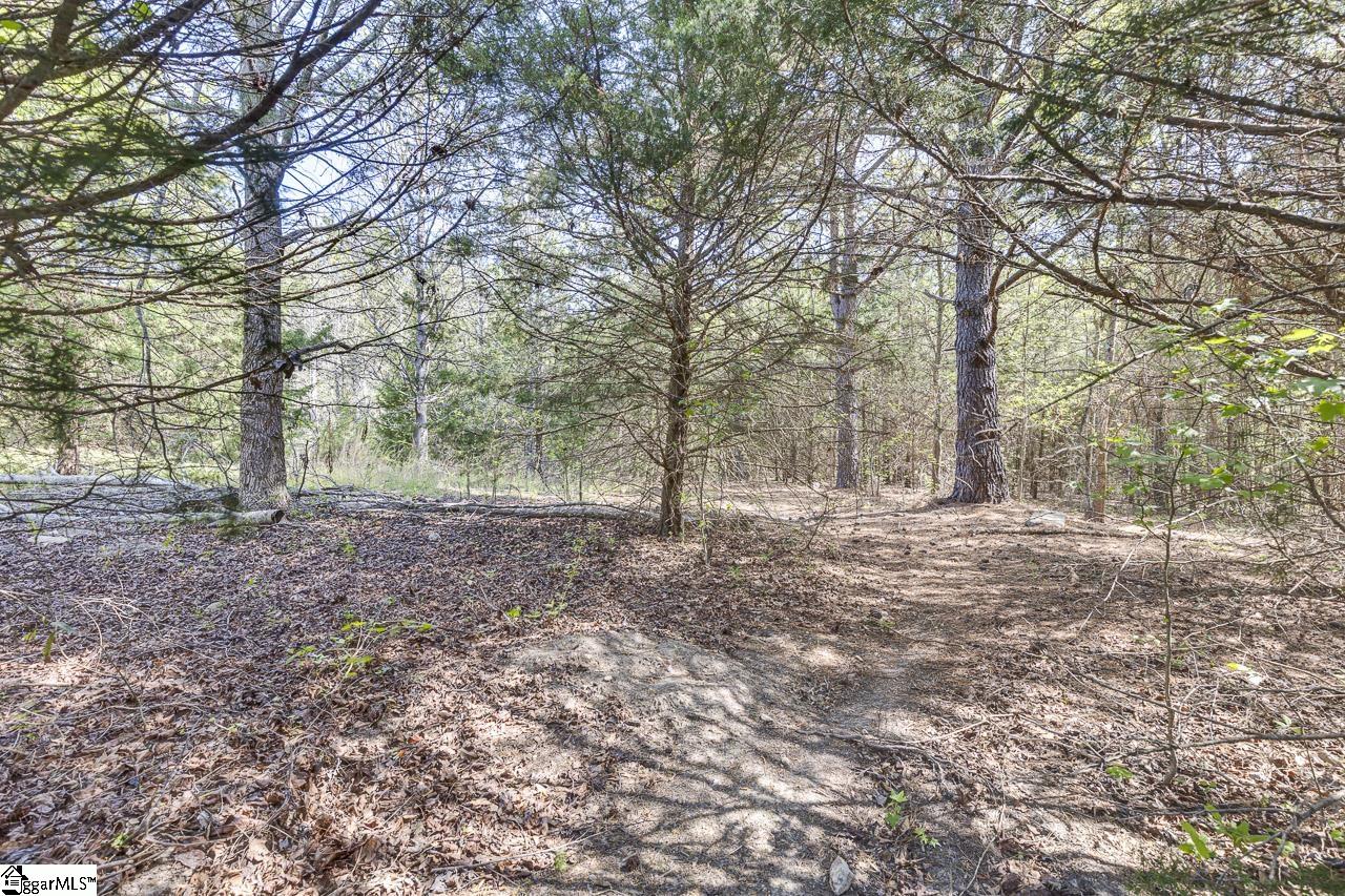 569 Willis Road Fountain Inn, SC 29644 - Photo 42 of 49 Gallery Image 42