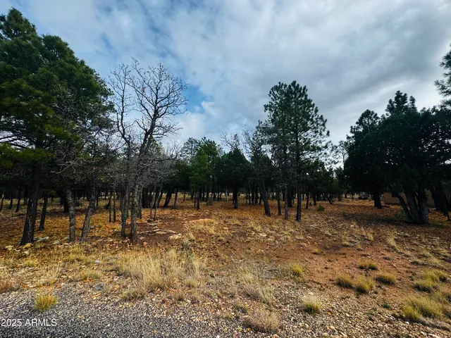 a view of large yard with trees