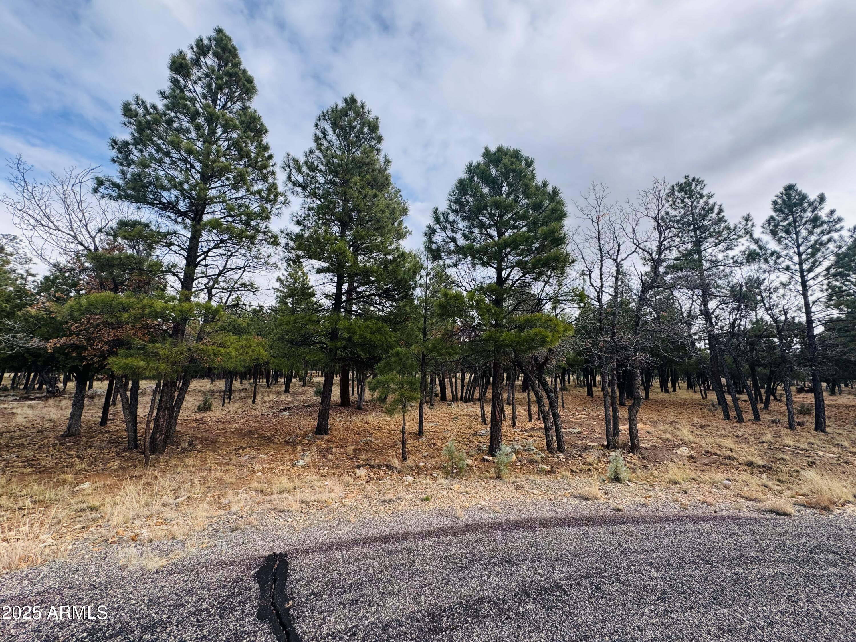 2793 Hummingbird Circle, Unit 159 Happy Jack, AZ 86024 - Photo 11 of 11 a view of a park with large trees