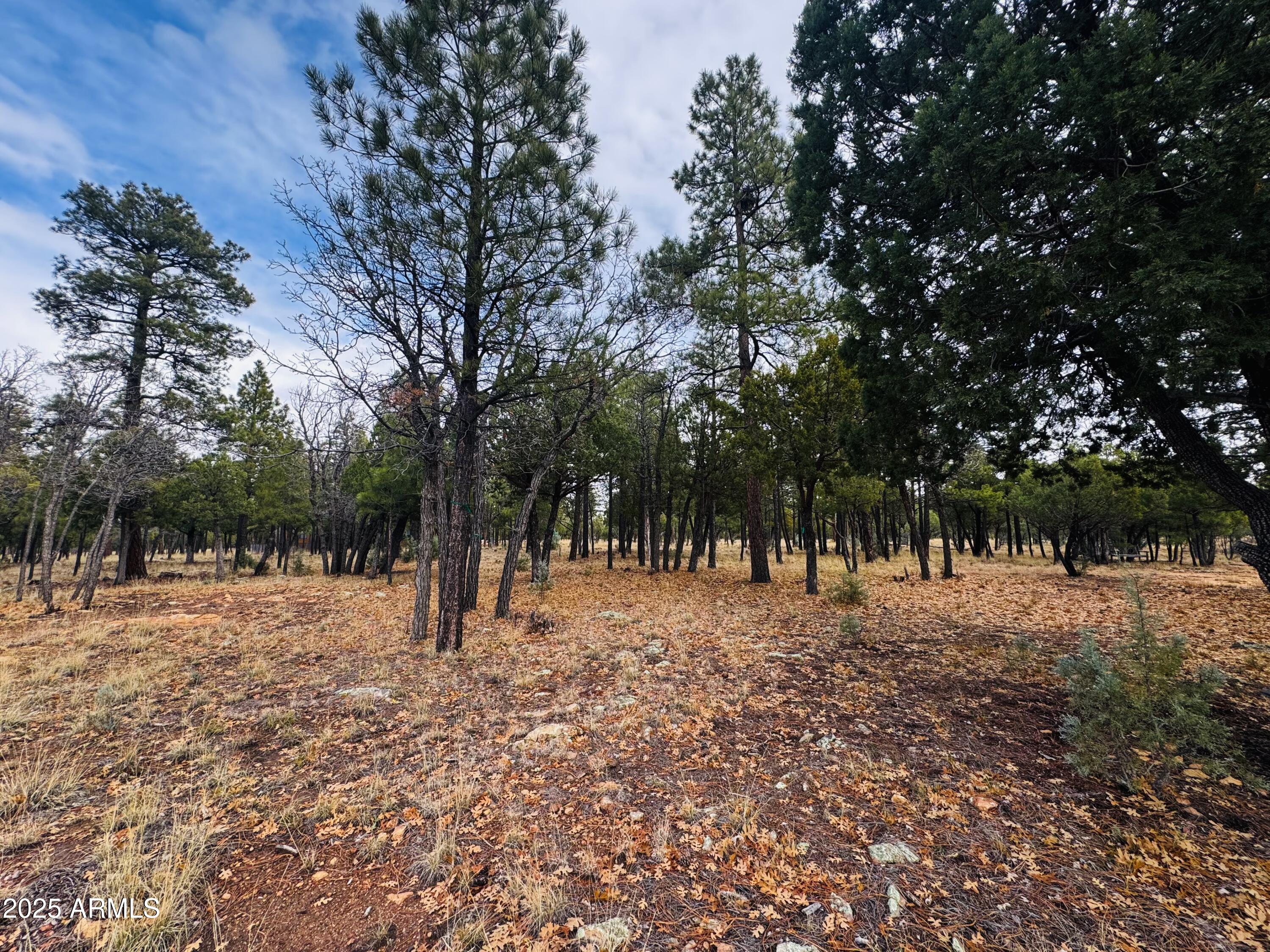2793 Hummingbird Circle, Unit 159 Happy Jack, AZ 86024 - Photo 8 of 11 a view of road with trees