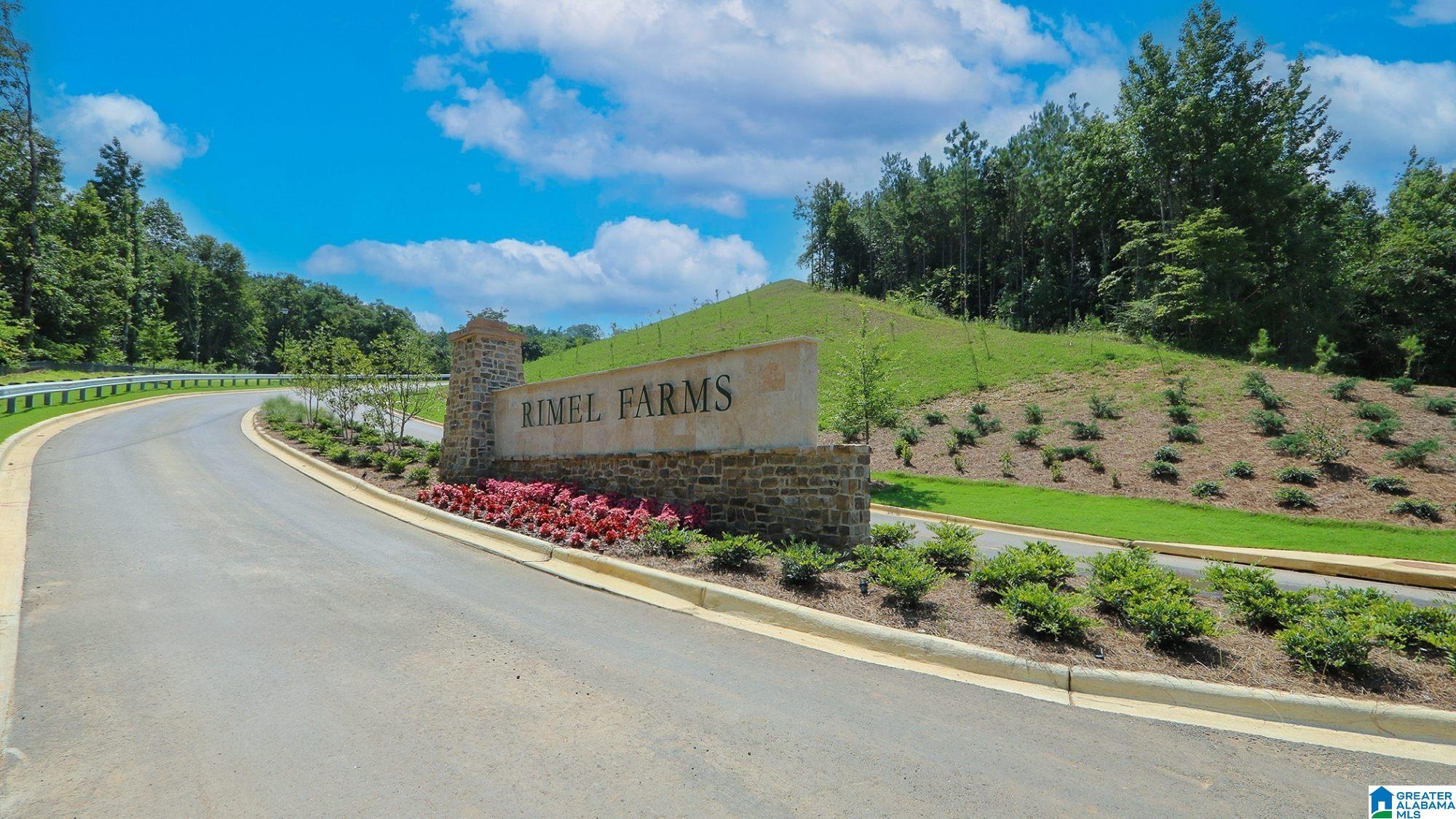 540 Rimel Farms Parkway Kimberly, AL 35091 - Photo 20 of 21