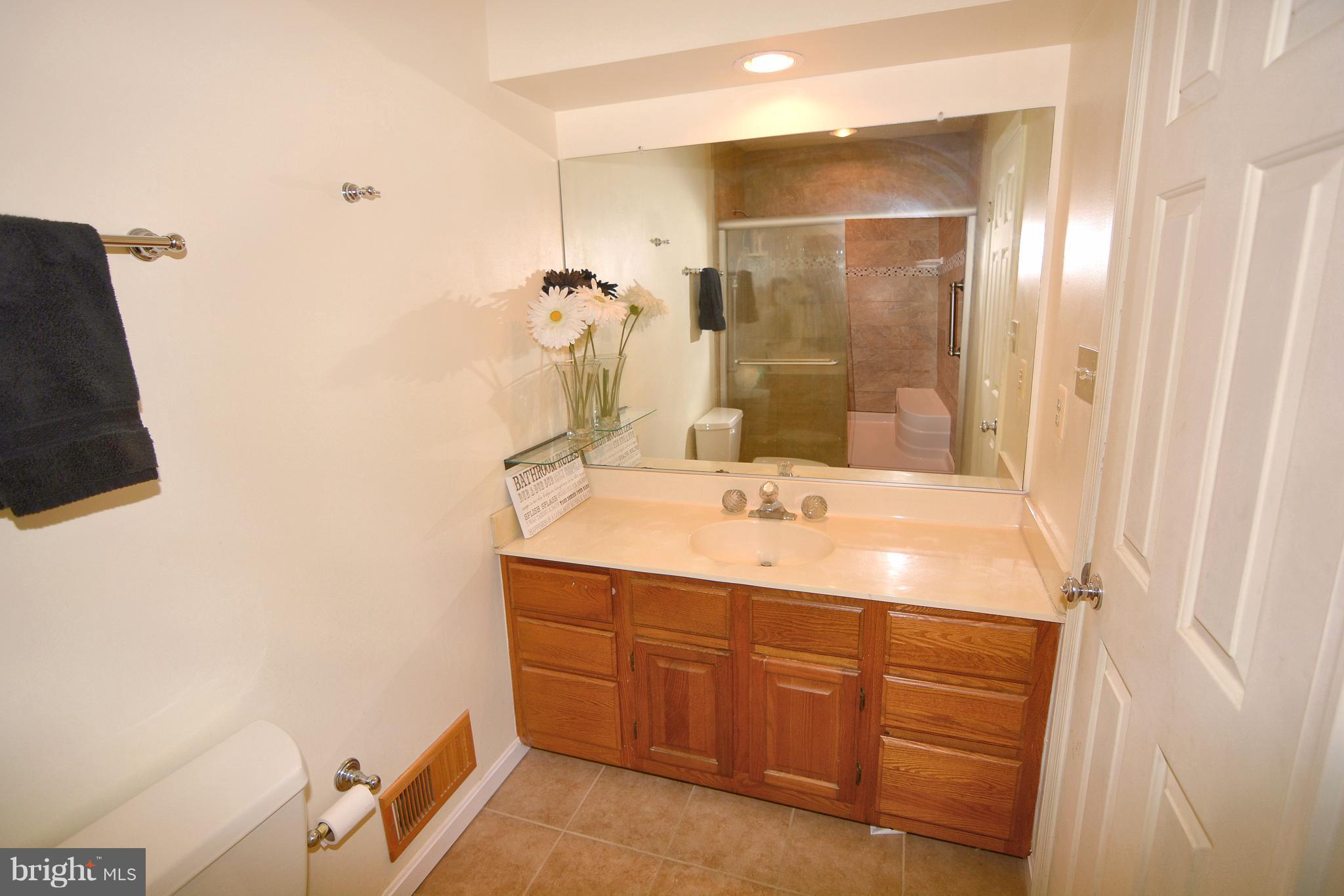 290 Locust Ridge Lane Arnold, MD 21012 - Photo 22 of 30 Bath (Master)