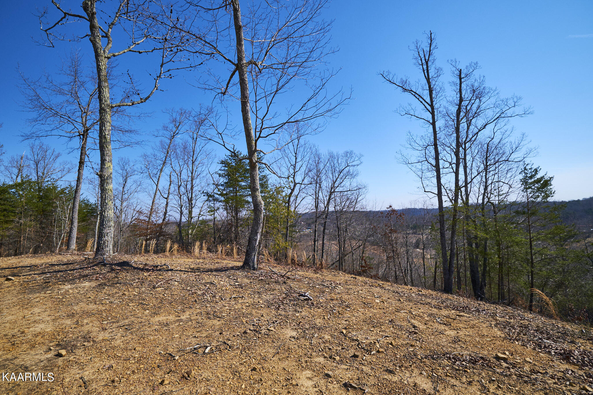 0 Dogtown Road Ten Mile, TN 37880 - Photo 1 of 54 Dogtown Rd 46