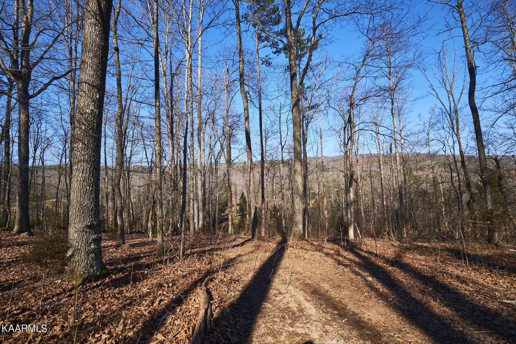 0 Dogtown Road Ten Mile, TN 37880 - Photo 11 of 54 Dogtown Rd 9