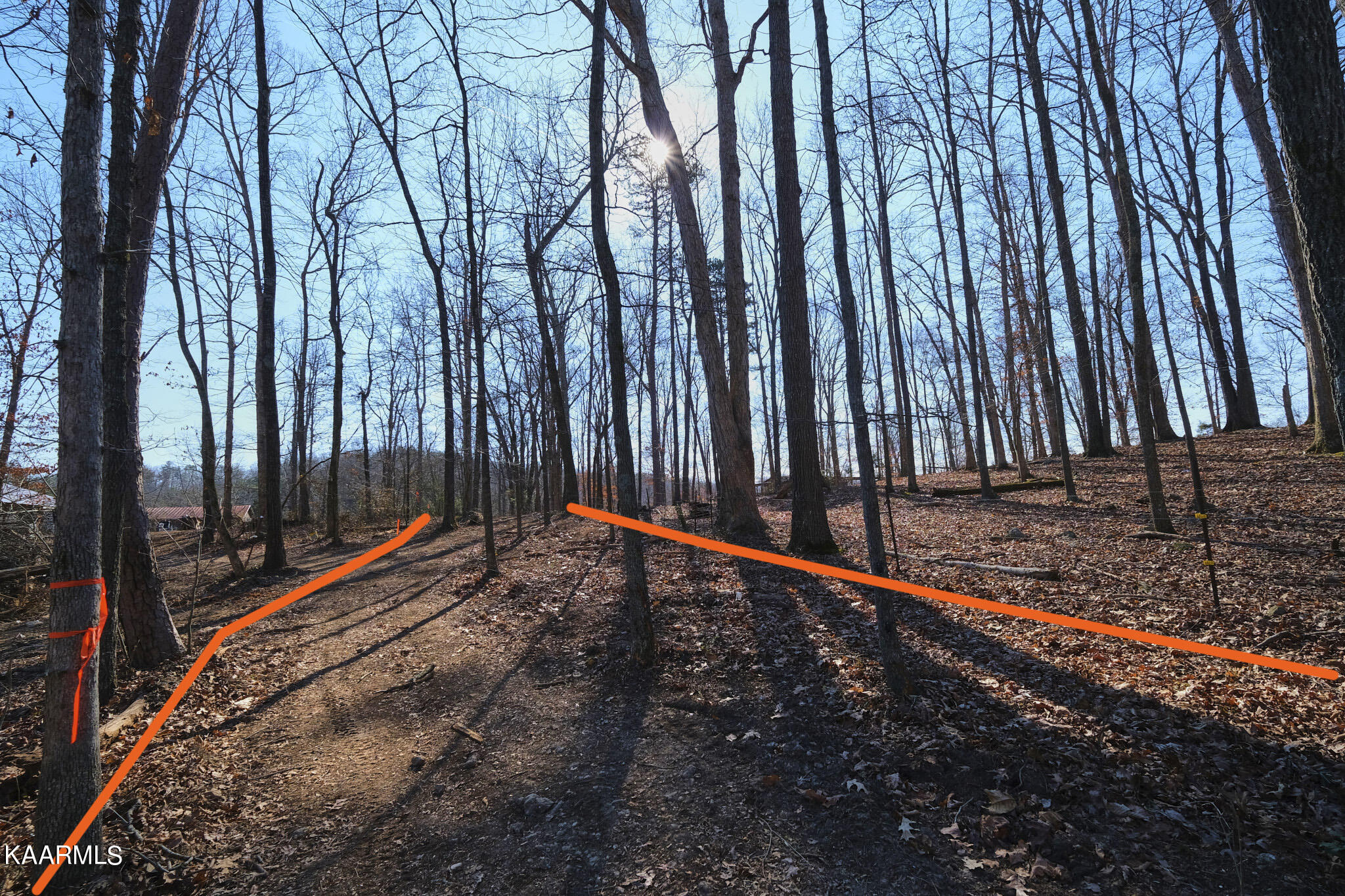 0 Dogtown Road Ten Mile, TN 37880 - Photo 12 of 54 Dogtown Rd 10 (edit)