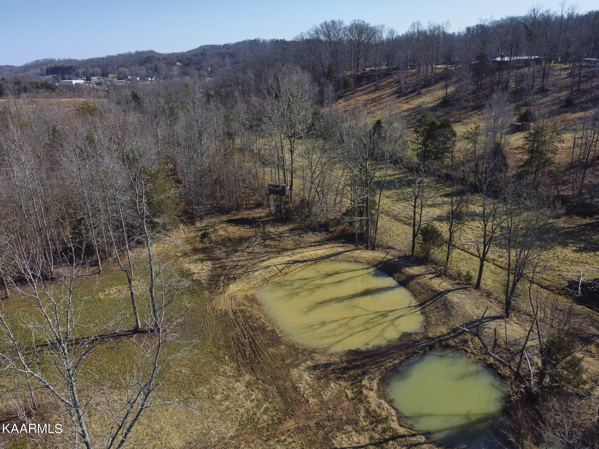 0 Dogtown Road Ten Mile, TN 37880 - Photo 15 of 54 Dogtown Rd 11