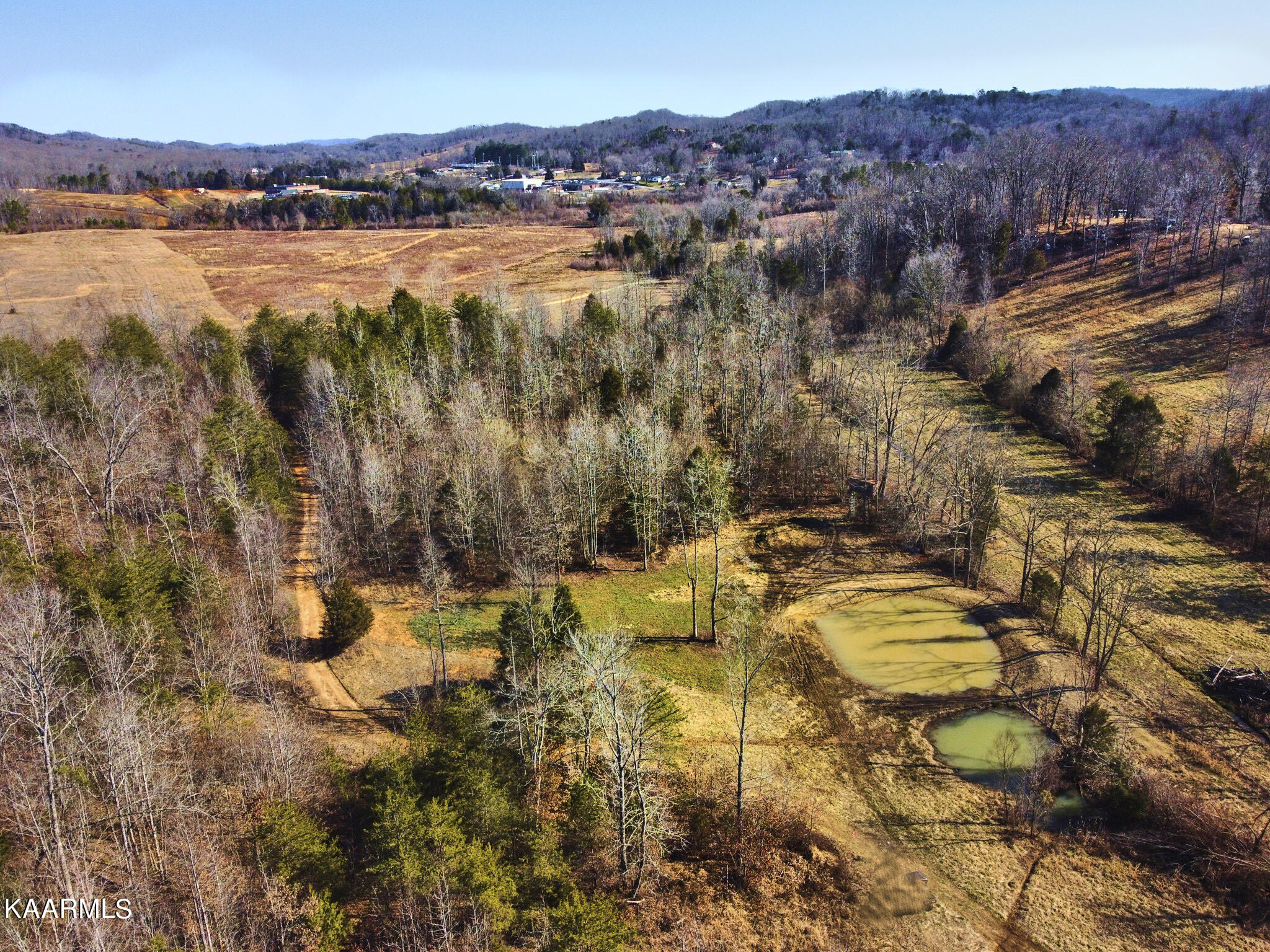 0 Dogtown Road Ten Mile, TN 37880 - Photo 17 of 54 Dogtown Rd 13