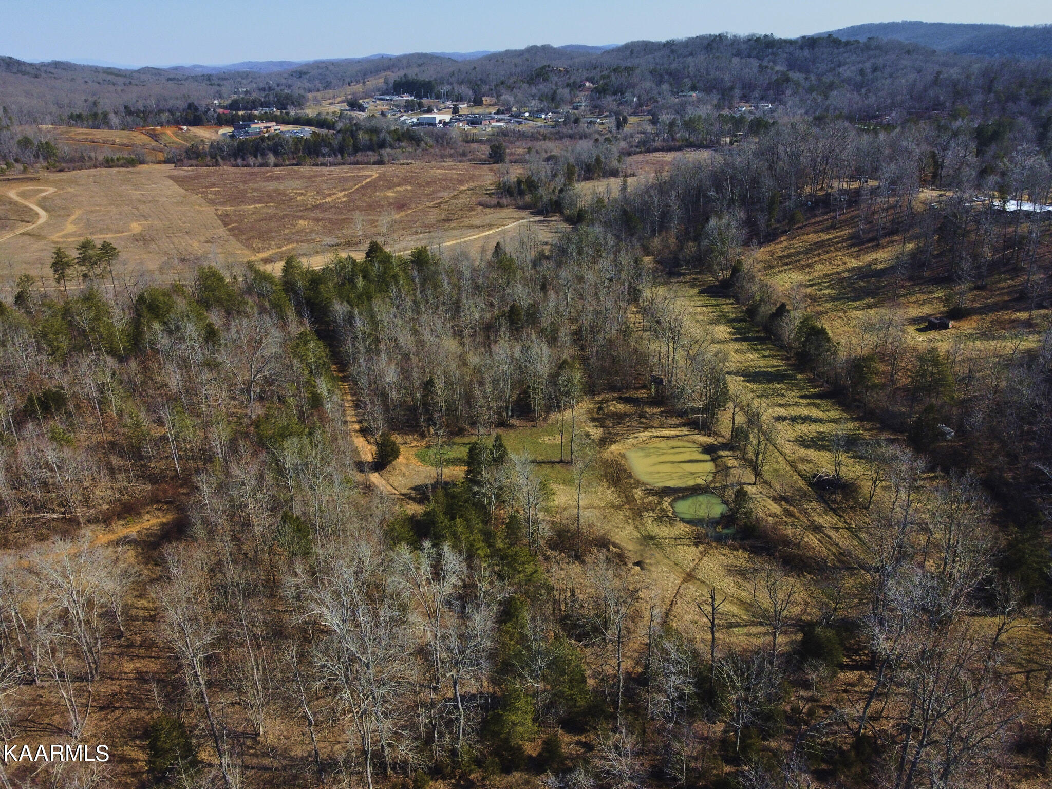 0 Dogtown Road Ten Mile, TN 37880 - Photo 19 of 54 Dogtown Rd 14