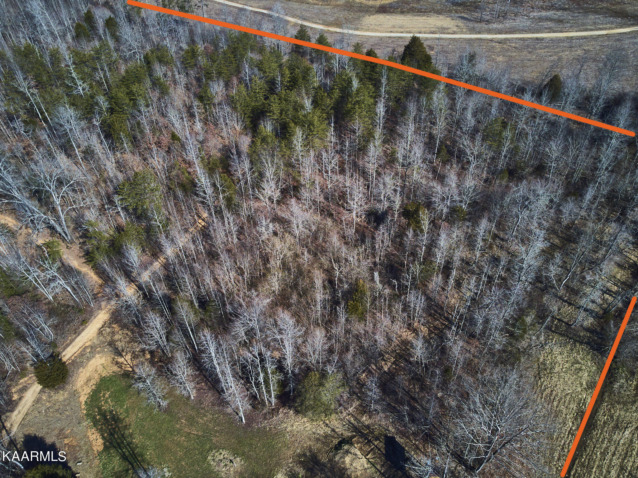 0 Dogtown Road Ten Mile, TN 37880 - Photo 20 of 54 Dogtown Rd 15 (edit)