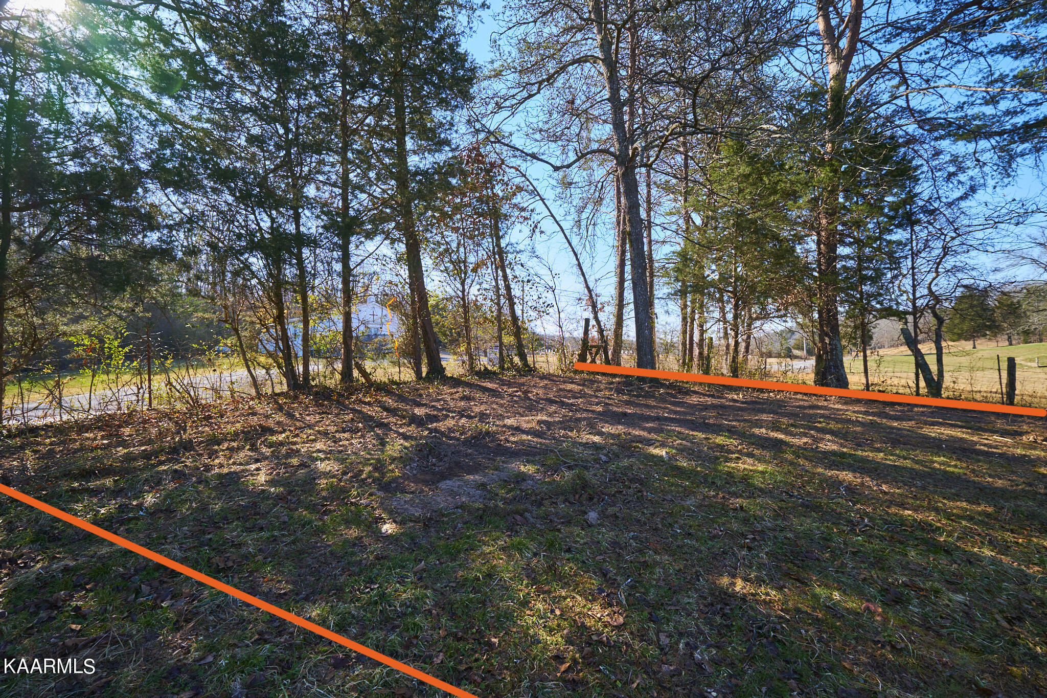 0 Dogtown Road Ten Mile, TN 37880 - Photo 2 of 54 Dogtown Rd (edit)