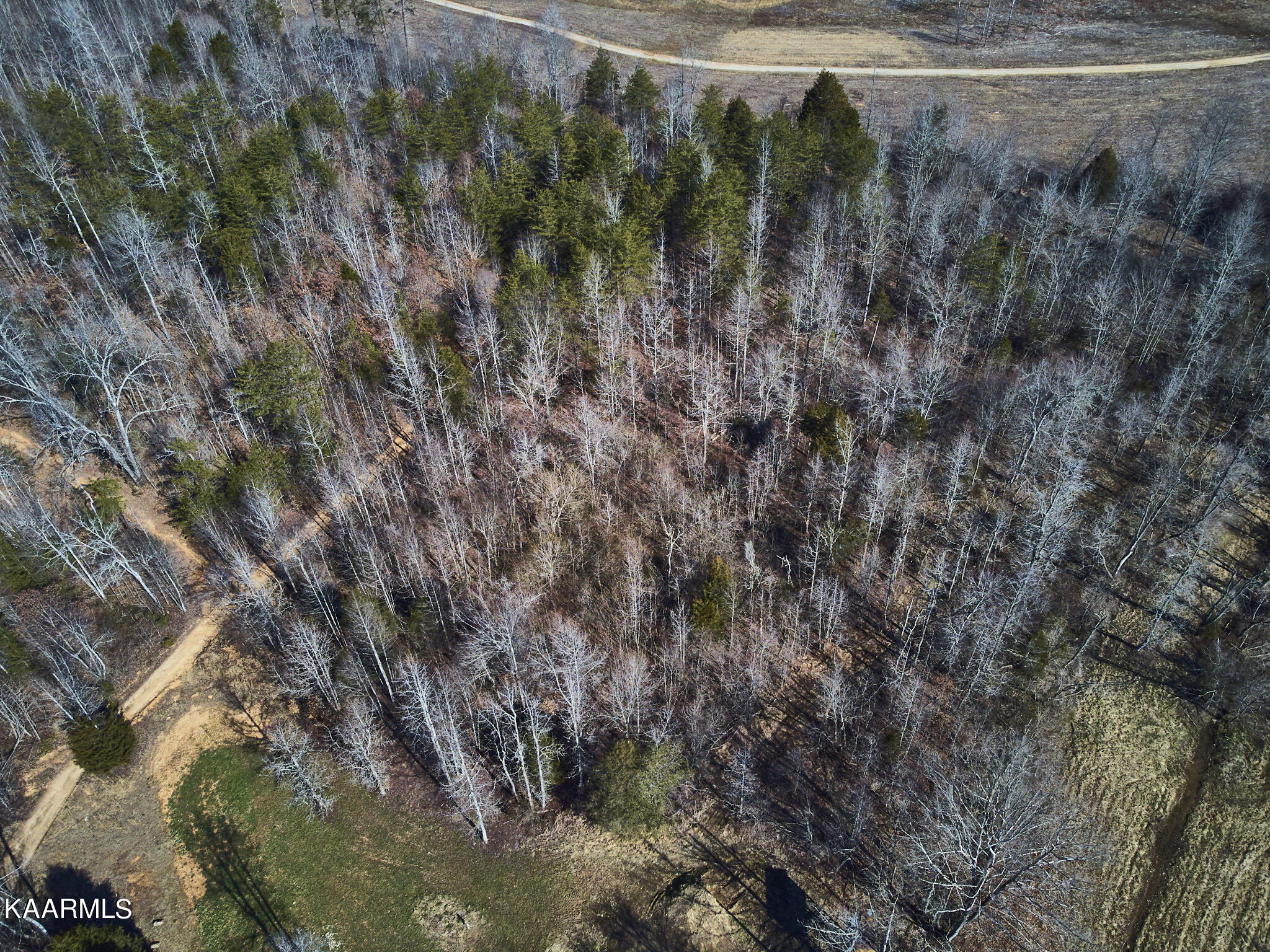 0 Dogtown Road Ten Mile, TN 37880 - Photo 21 of 54 Dogtown Rd 15