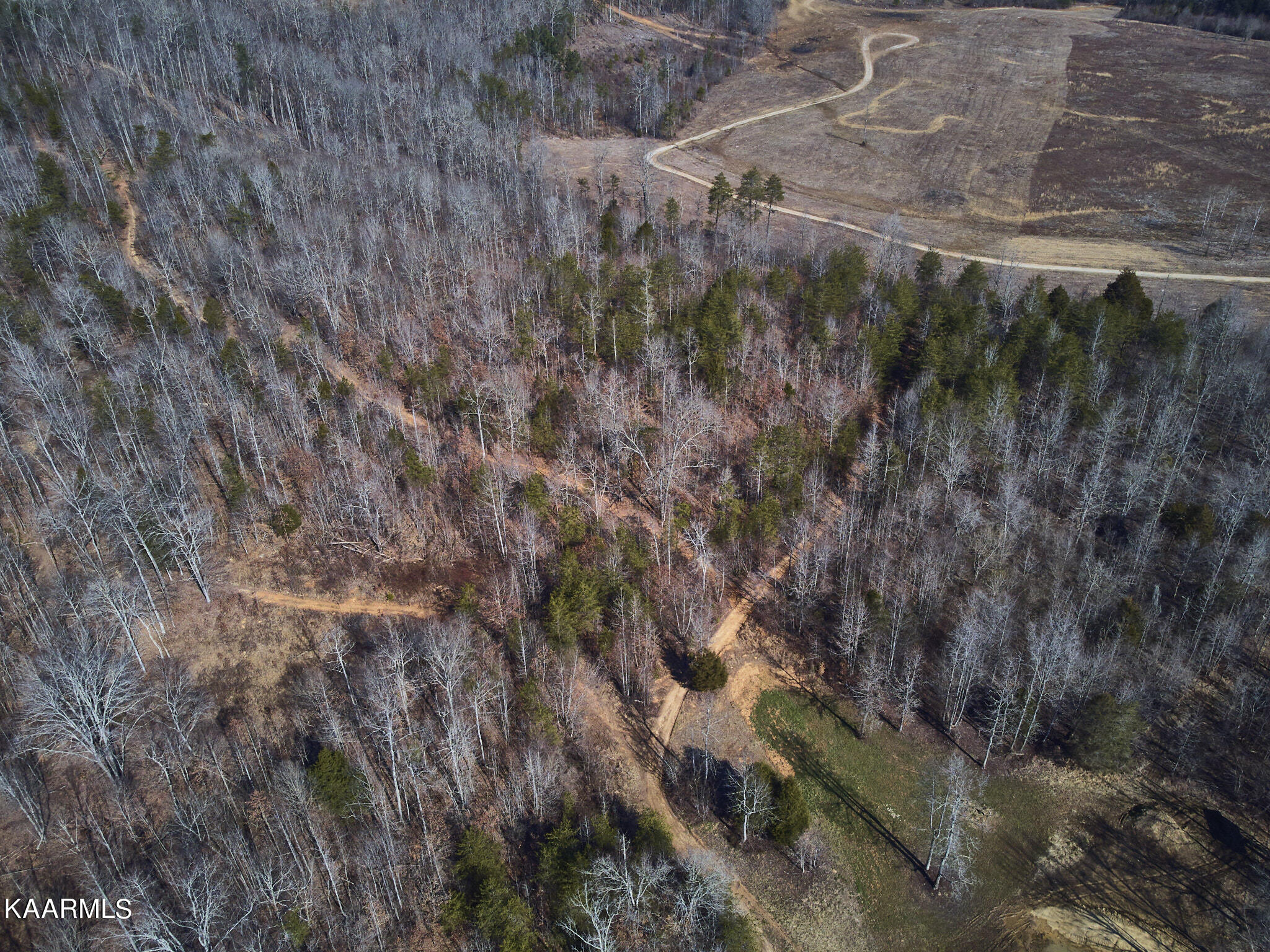 0 Dogtown Road Ten Mile, TN 37880 - Photo 23 of 54 Dogtown Rd 16