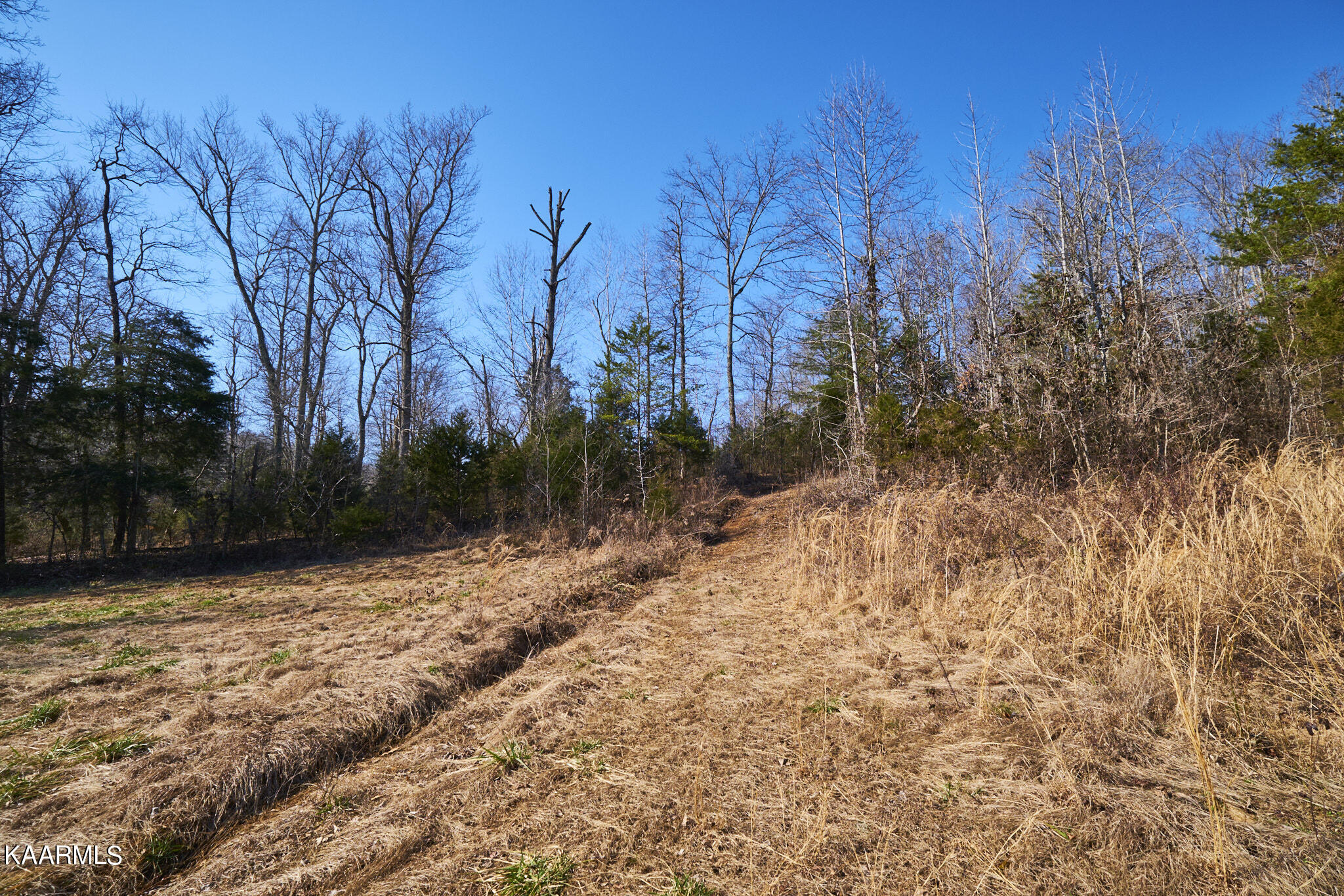 0 Dogtown Road Ten Mile, TN 37880 - Photo 27 of 54 Dogtown Rd 20