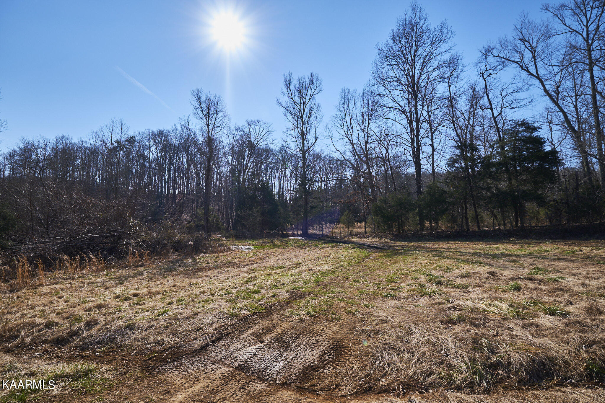 0 Dogtown Road Ten Mile, TN 37880 - Photo 28 of 54 Dogtown Rd 21