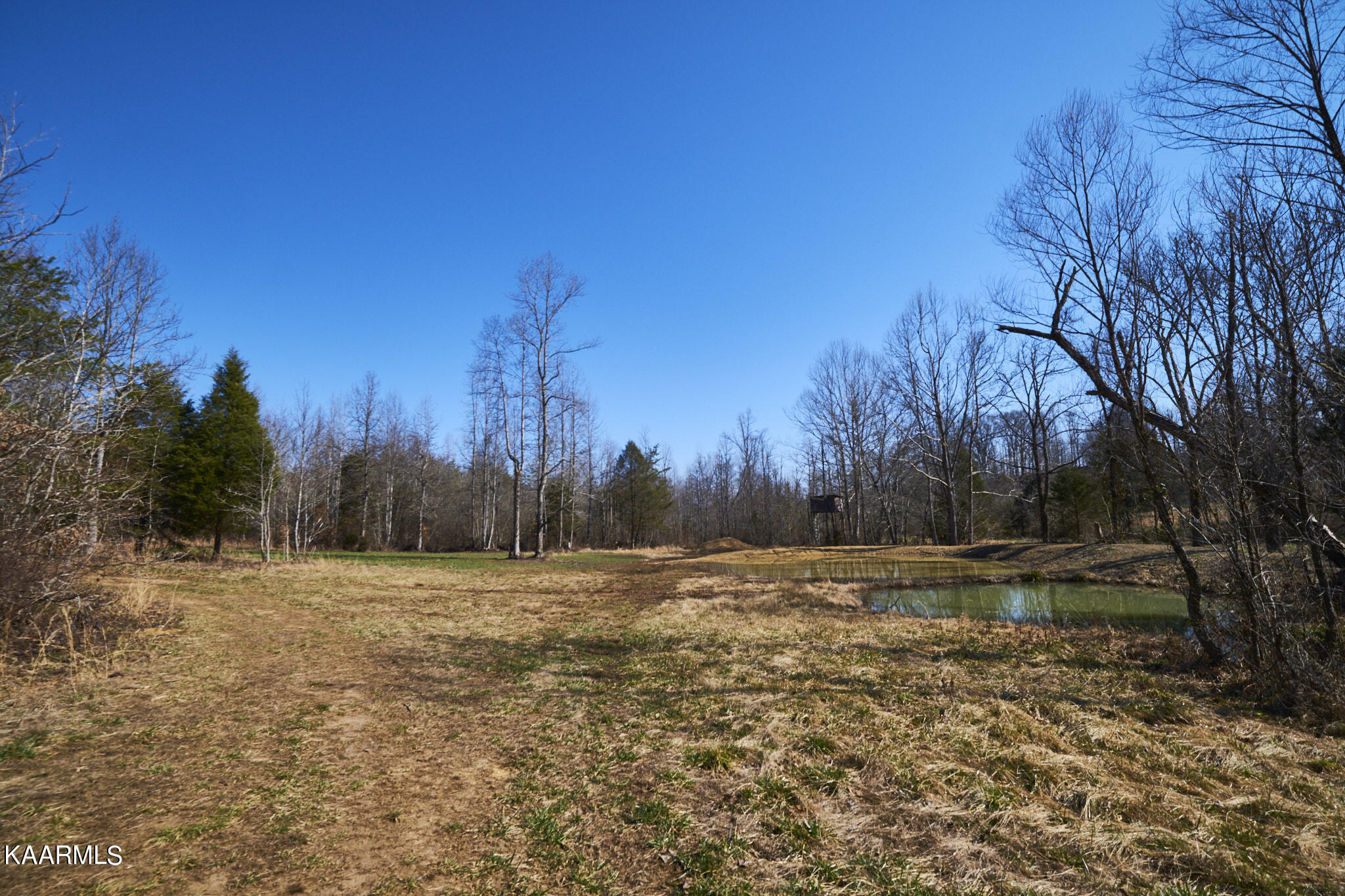 0 Dogtown Road Ten Mile, TN 37880 - Photo 29 of 54 Dogtown Rd 22