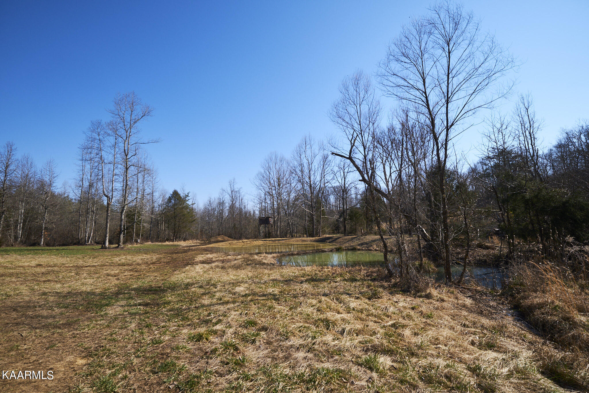 0 Dogtown Road Ten Mile, TN 37880 - Photo 30 of 54 Dogtown Rd 23