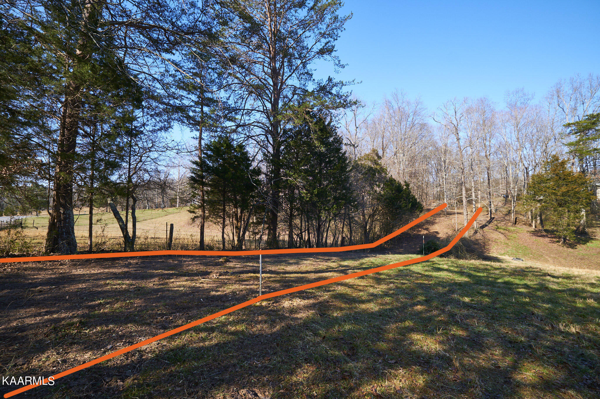0 Dogtown Road Ten Mile, TN 37880 - Photo 3 of 54 Dogtown Rd 1