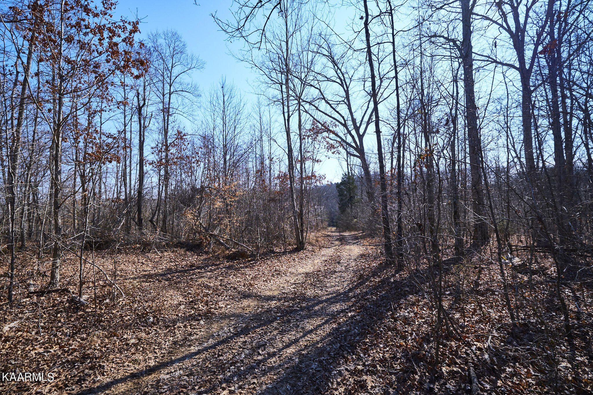 0 Dogtown Road Ten Mile, TN 37880 - Photo 31 of 54 Dogtown Rd 24