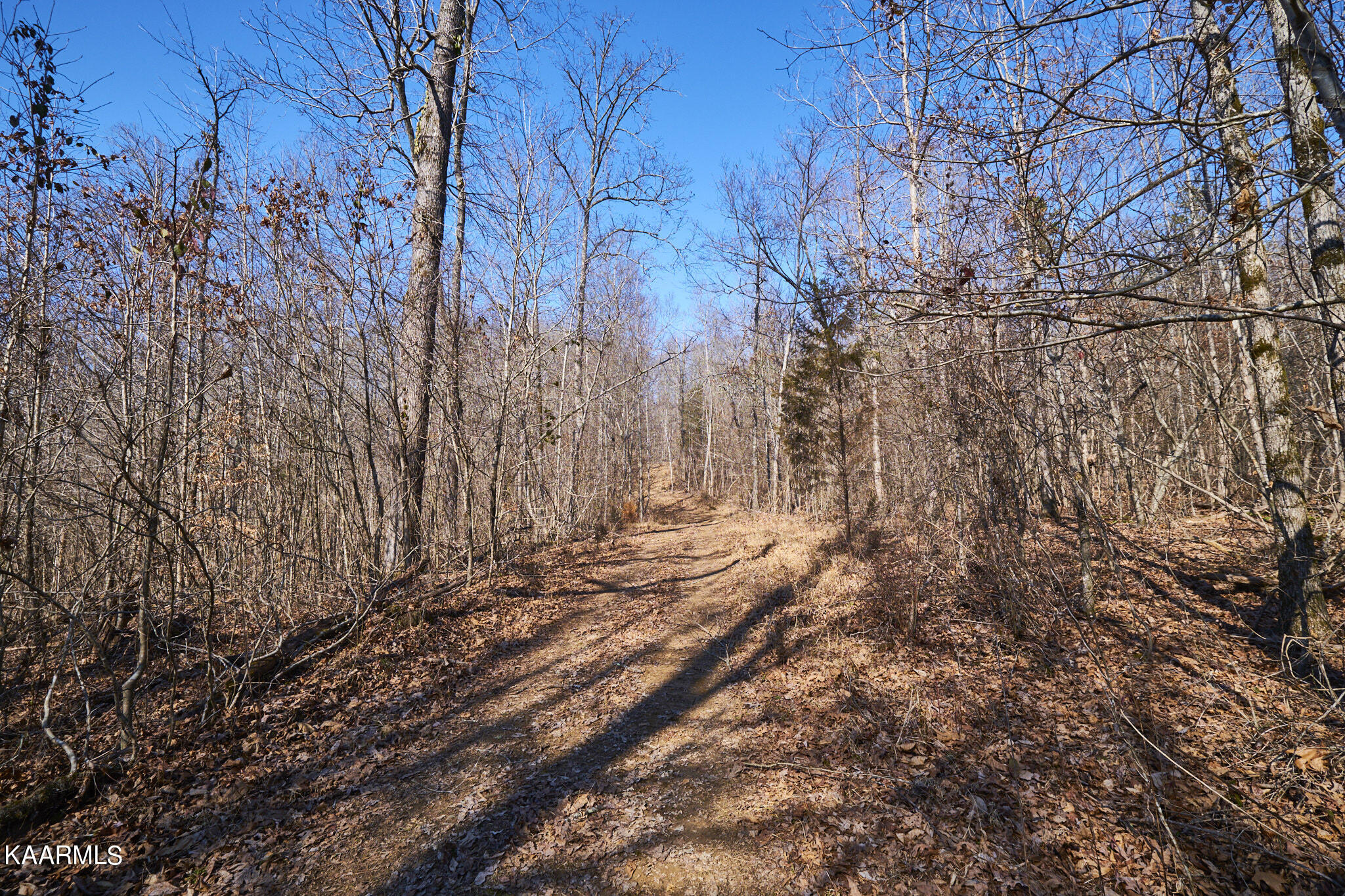 0 Dogtown Road Ten Mile, TN 37880 - Photo 32 of 54 Dogtown Rd 25