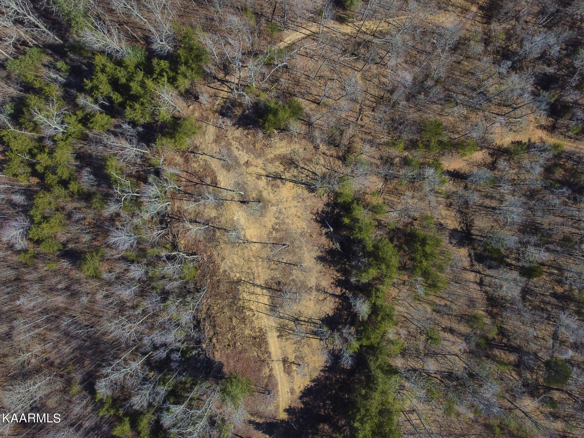0 Dogtown Road Ten Mile, TN 37880 - Photo 35 of 54 Dogtown Rd 28