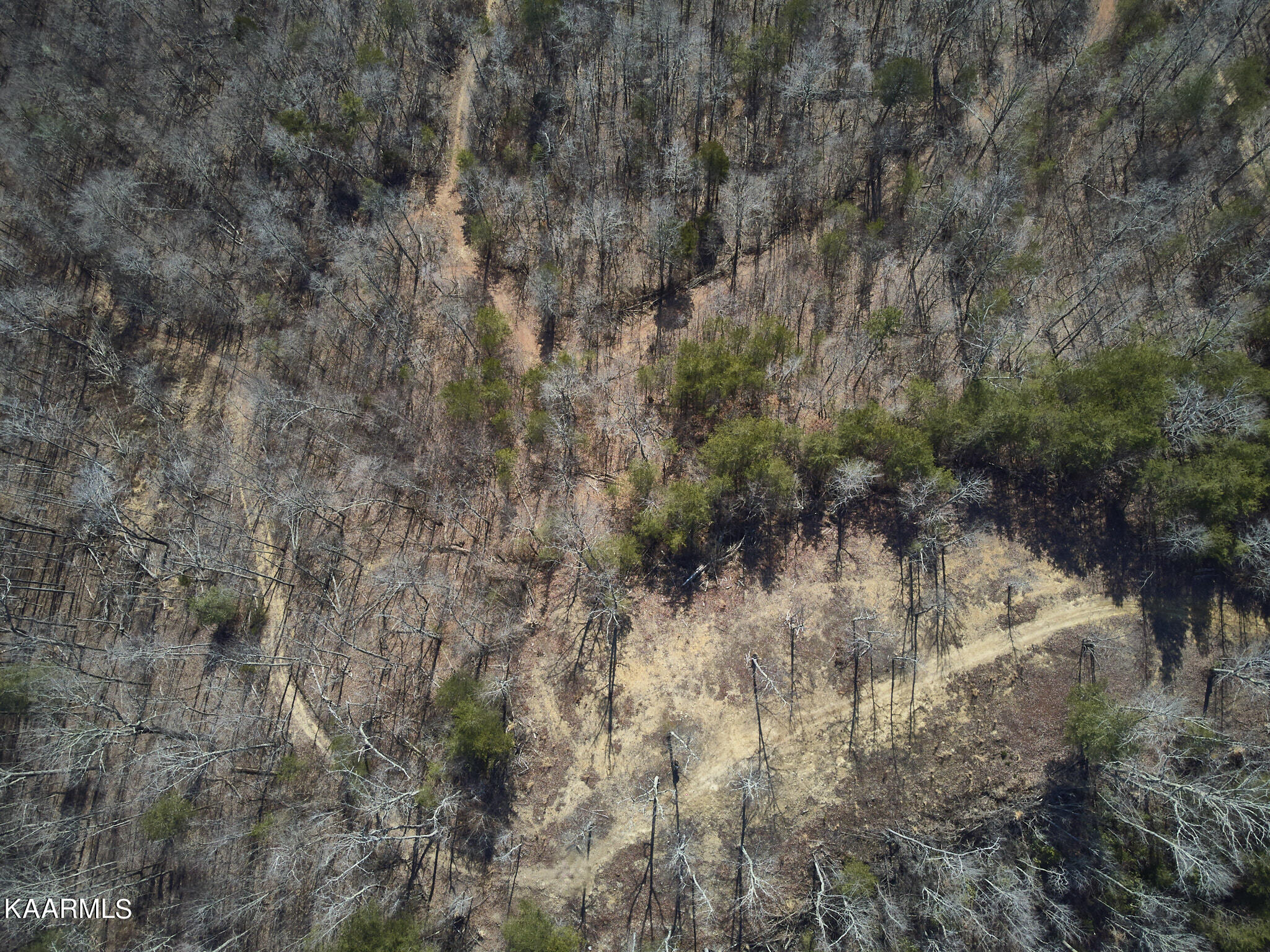 0 Dogtown Road Ten Mile, TN 37880 - Photo 36 of 54 Dogtown Rd 29