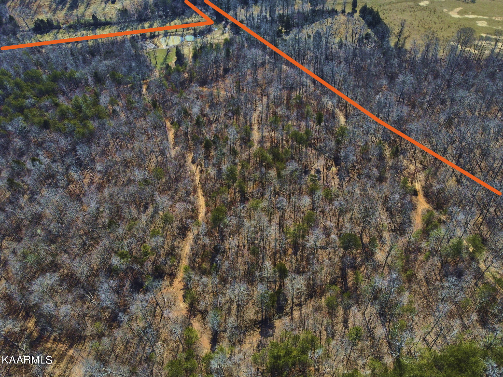 0 Dogtown Road Ten Mile, TN 37880 - Photo 40 of 54 Dogtown Rd 32 (edit)