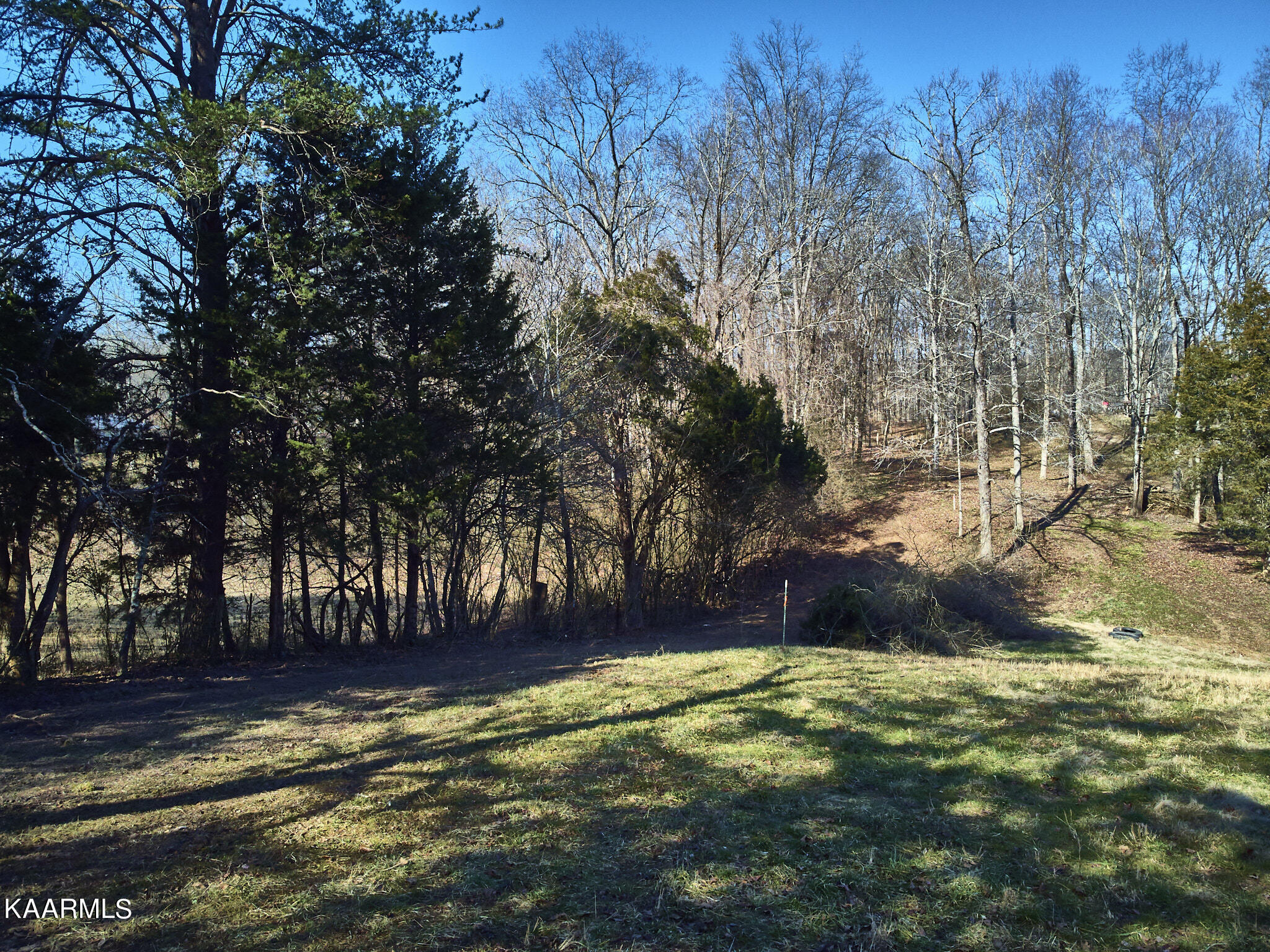 0 Dogtown Road Ten Mile, TN 37880 - Photo 4 of 54 Dogtown Rd 2
