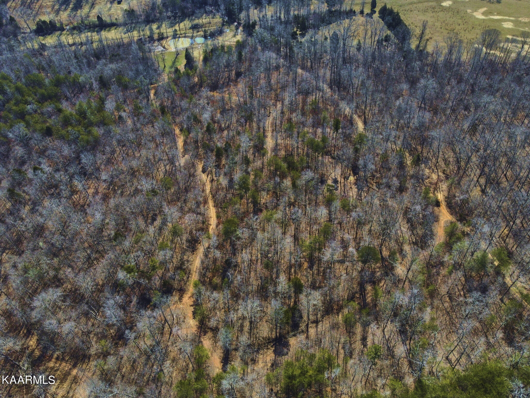 0 Dogtown Road Ten Mile, TN 37880 - Photo 41 of 54 Dogtown Rd 32