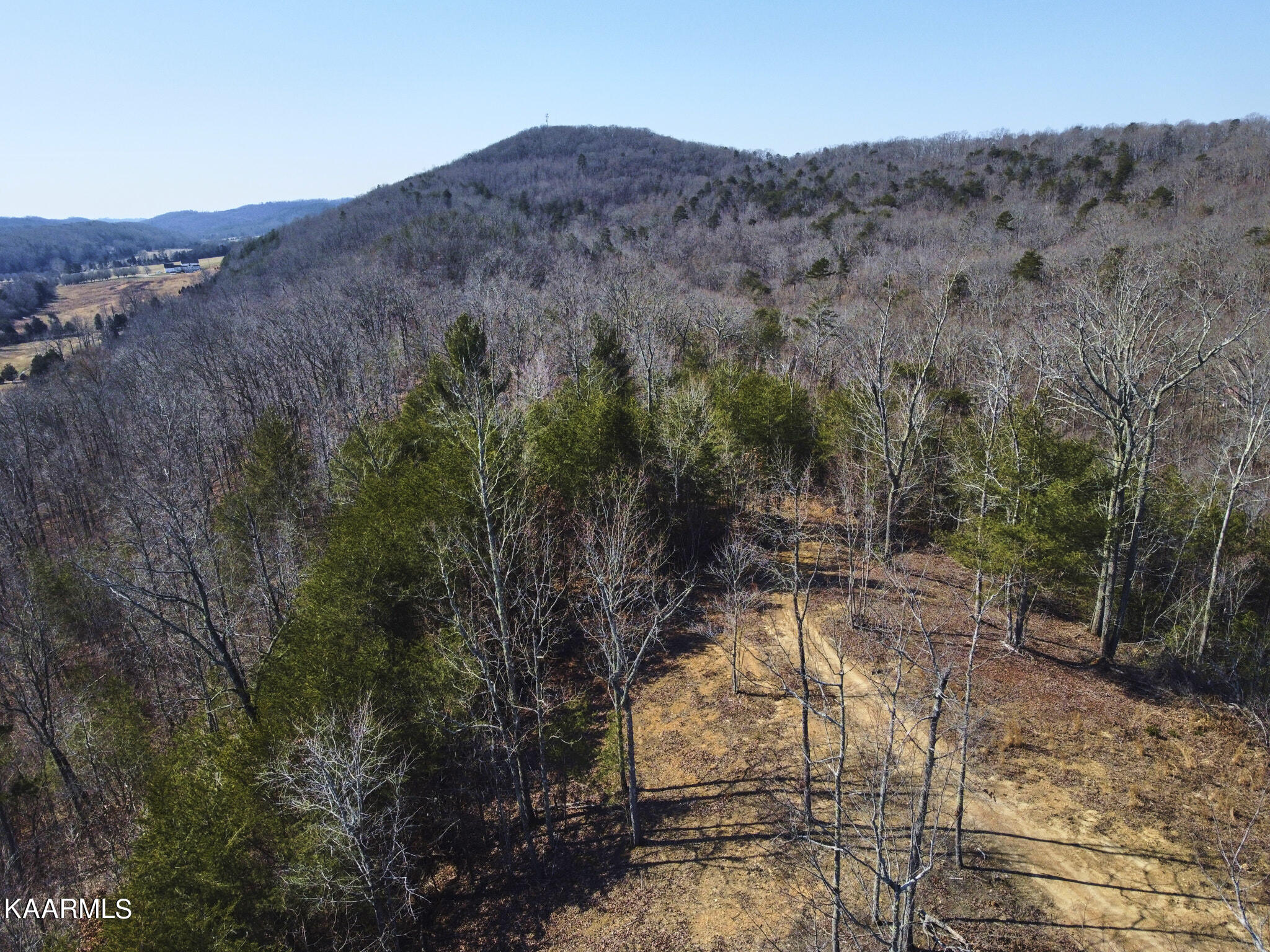 0 Dogtown Road Ten Mile, TN 37880 - Photo 44 of 54 Dogtown Rd 37