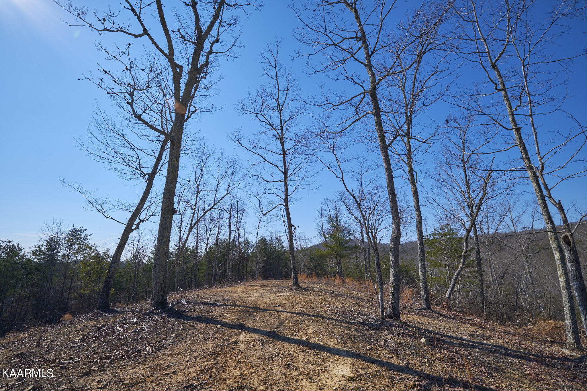0 Dogtown Road Ten Mile, TN 37880 - Photo 45 of 54 Dogtown Rd 38