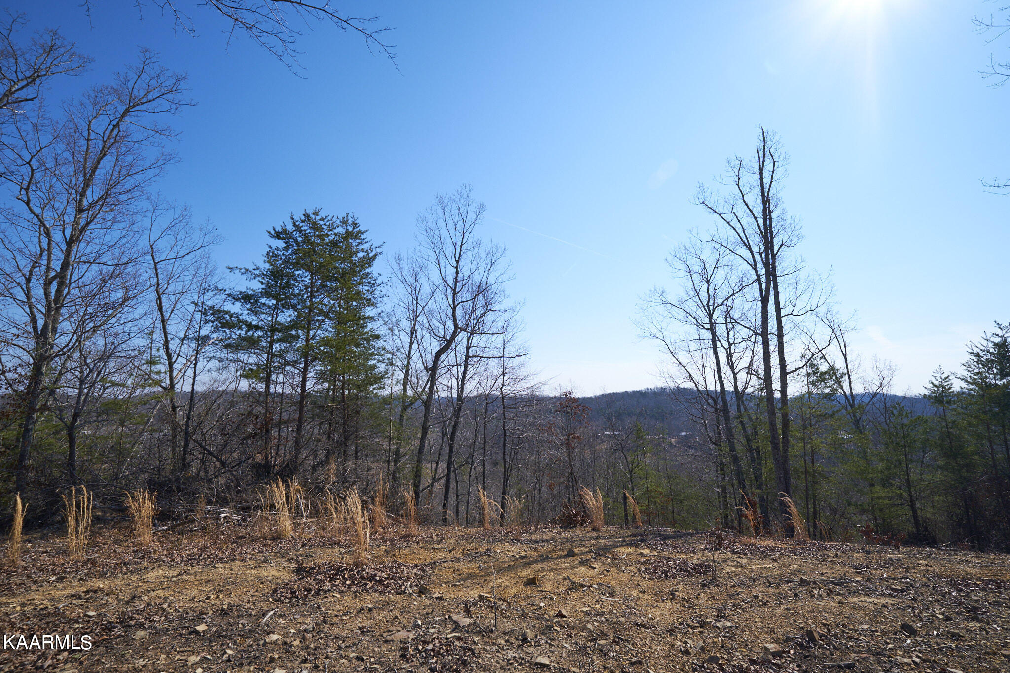 0 Dogtown Road Ten Mile, TN 37880 - Photo 46 of 54 Dogtown Rd 39