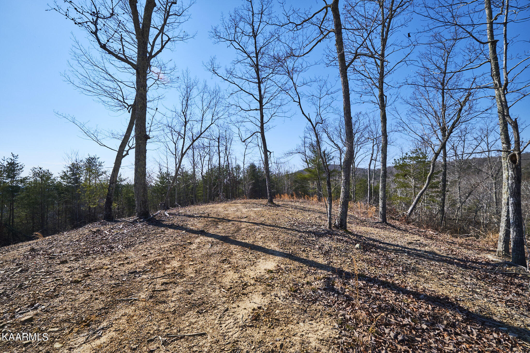 0 Dogtown Road Ten Mile, TN 37880 - Photo 48 of 54 Dogtown Rd 41
