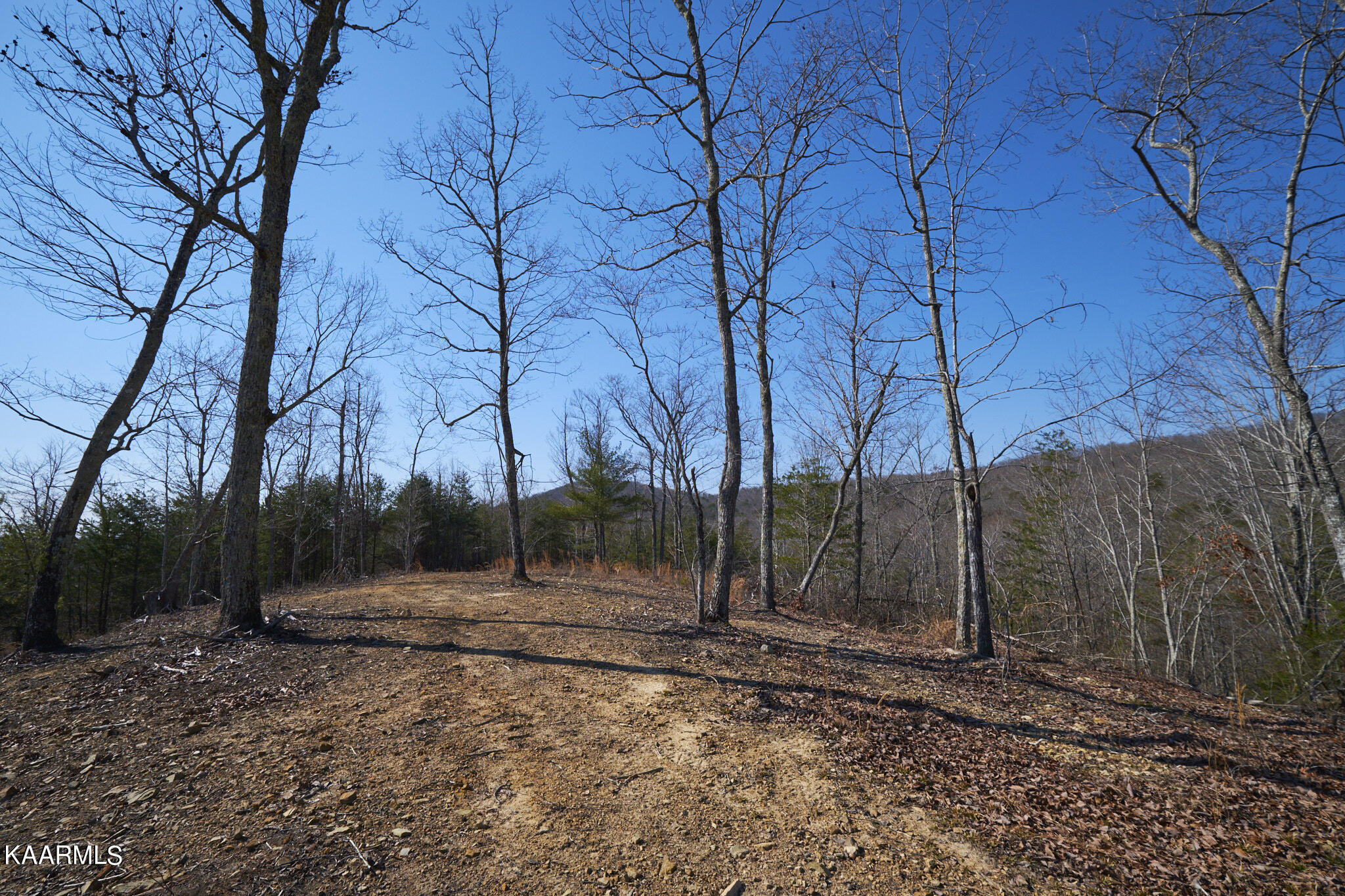0 Dogtown Road Ten Mile, TN 37880 - Photo 49 of 54 Dogtown Rd 44