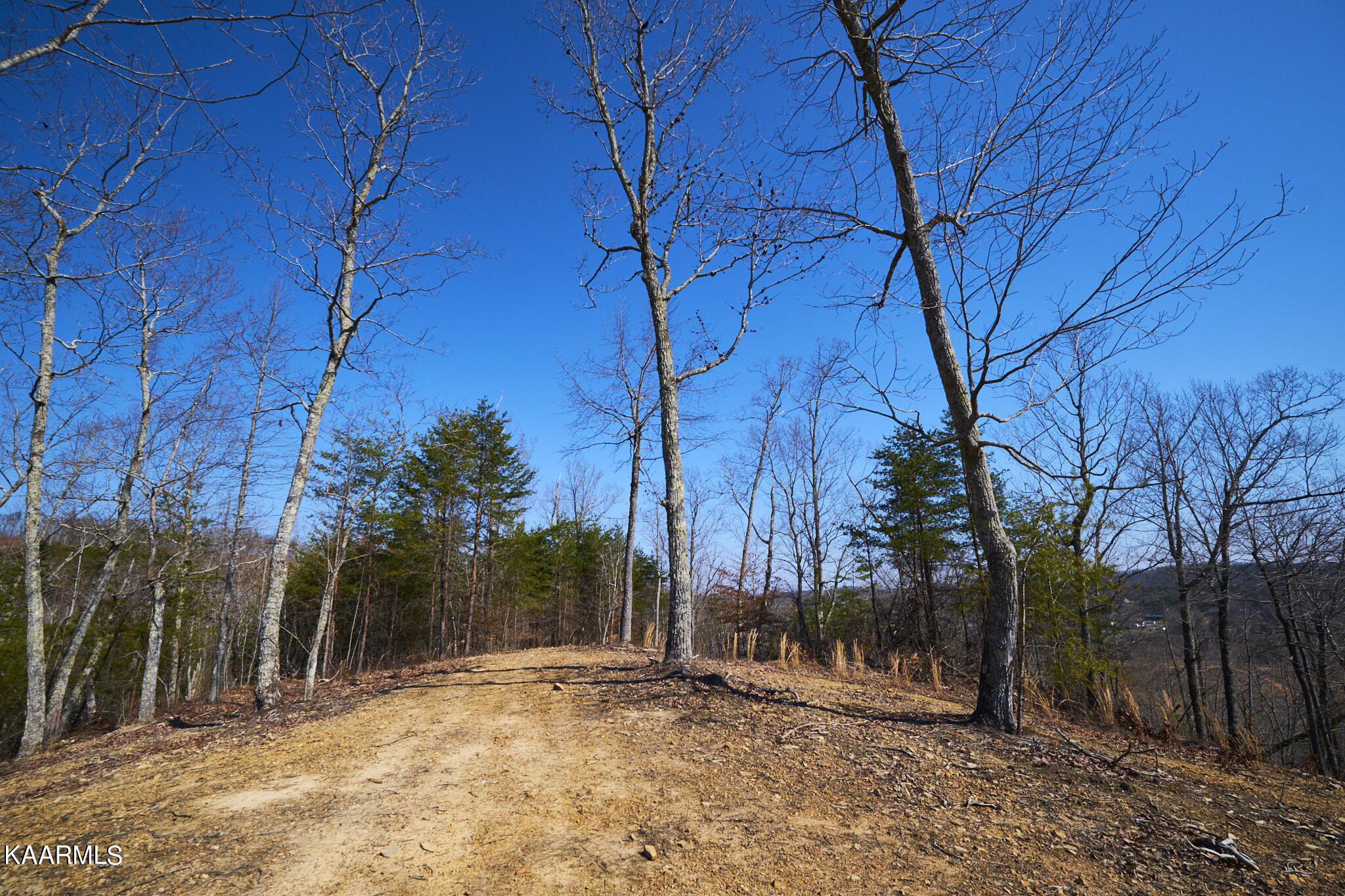 0 Dogtown Road Ten Mile, TN 37880 - Photo 50 of 54 Dogtown Rd 45