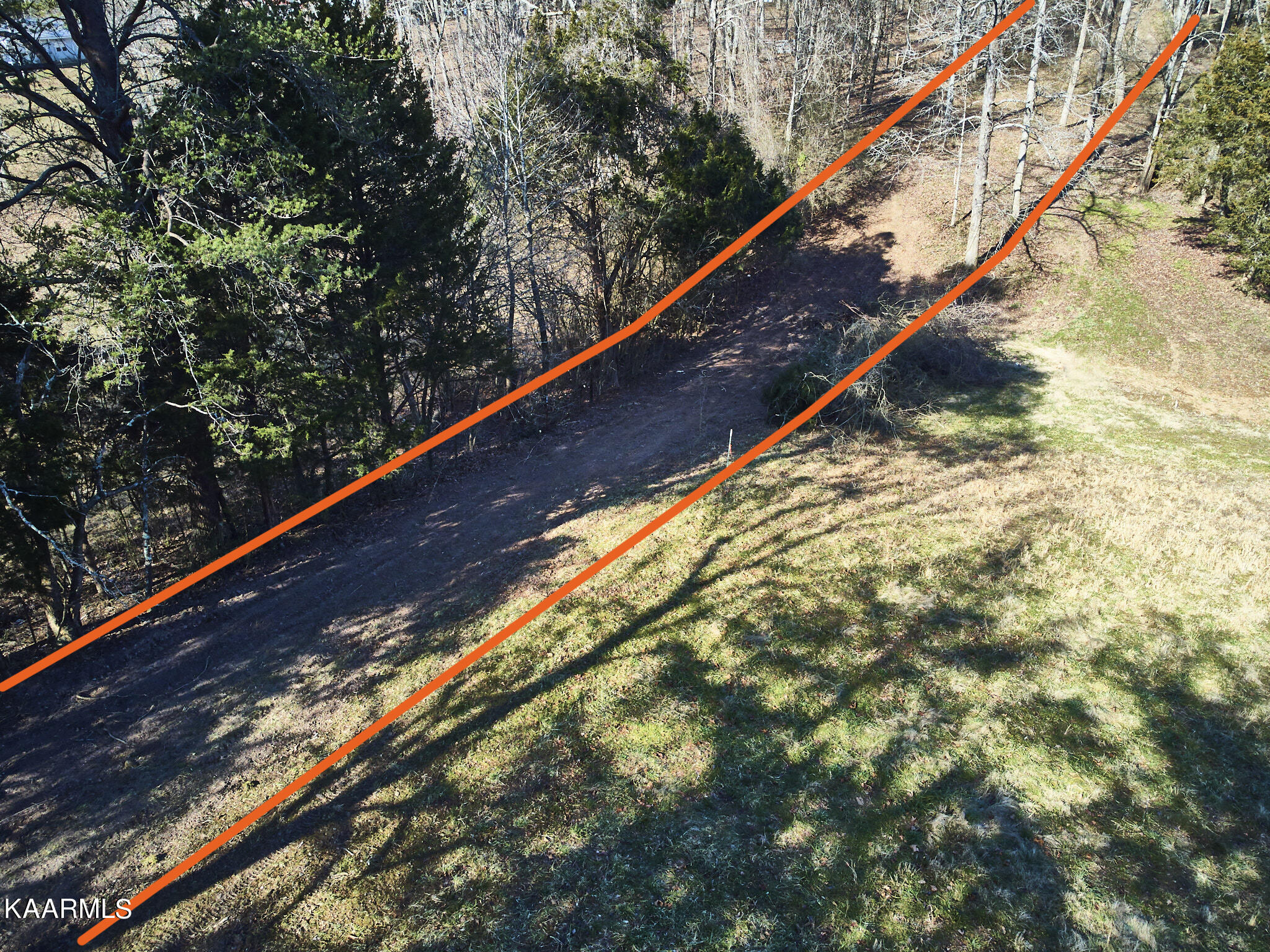 0 Dogtown Road Ten Mile, TN 37880 - Photo 5 of 54 Dogtown Rd 3