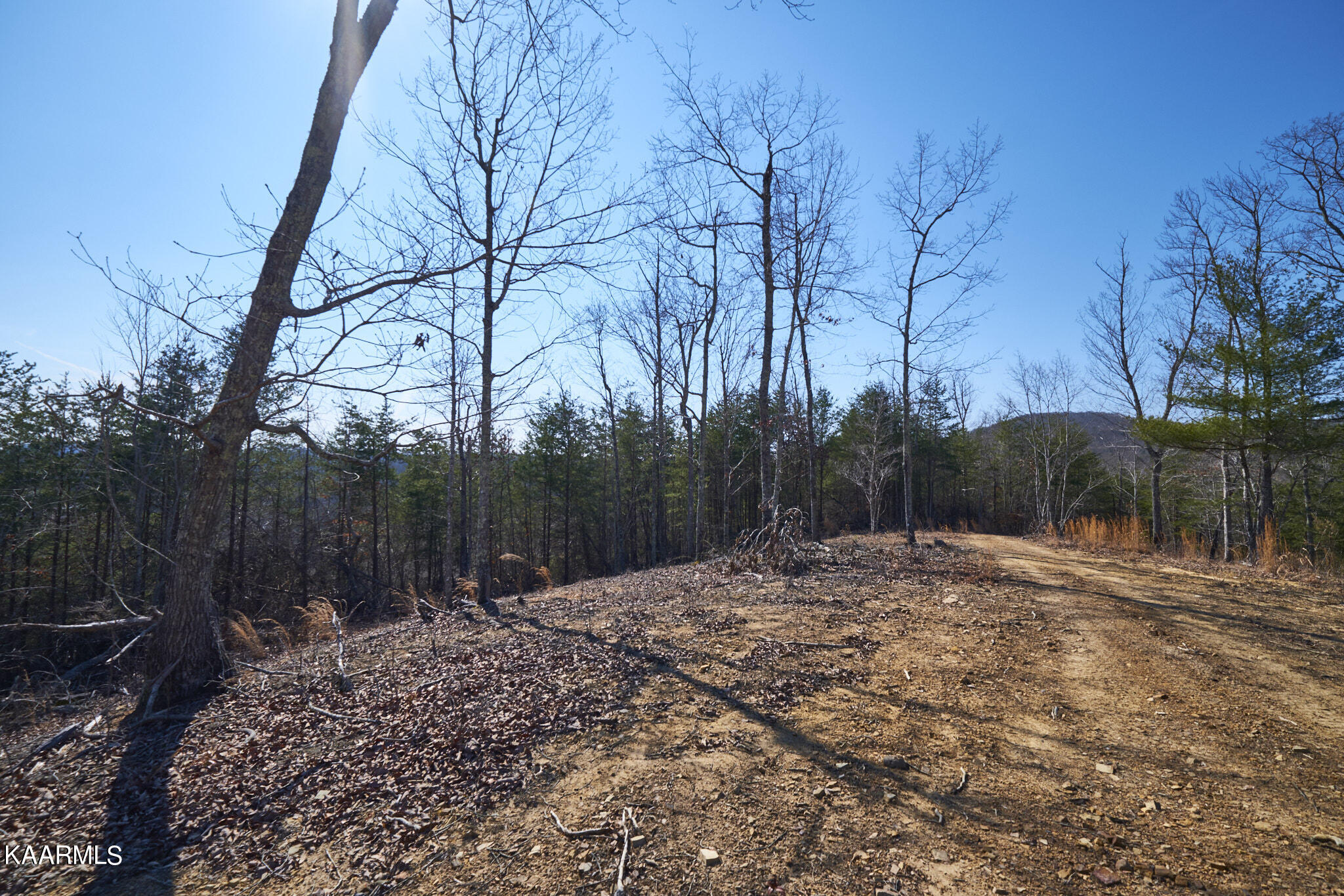 0 Dogtown Road Ten Mile, TN 37880 - Photo 51 of 54 Dogtown Rd 47