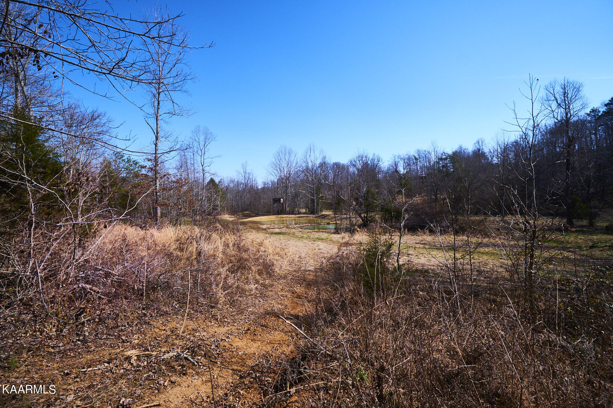 0 Dogtown Road Ten Mile, TN 37880 - Photo 52 of 54 Dogtown Rd 48