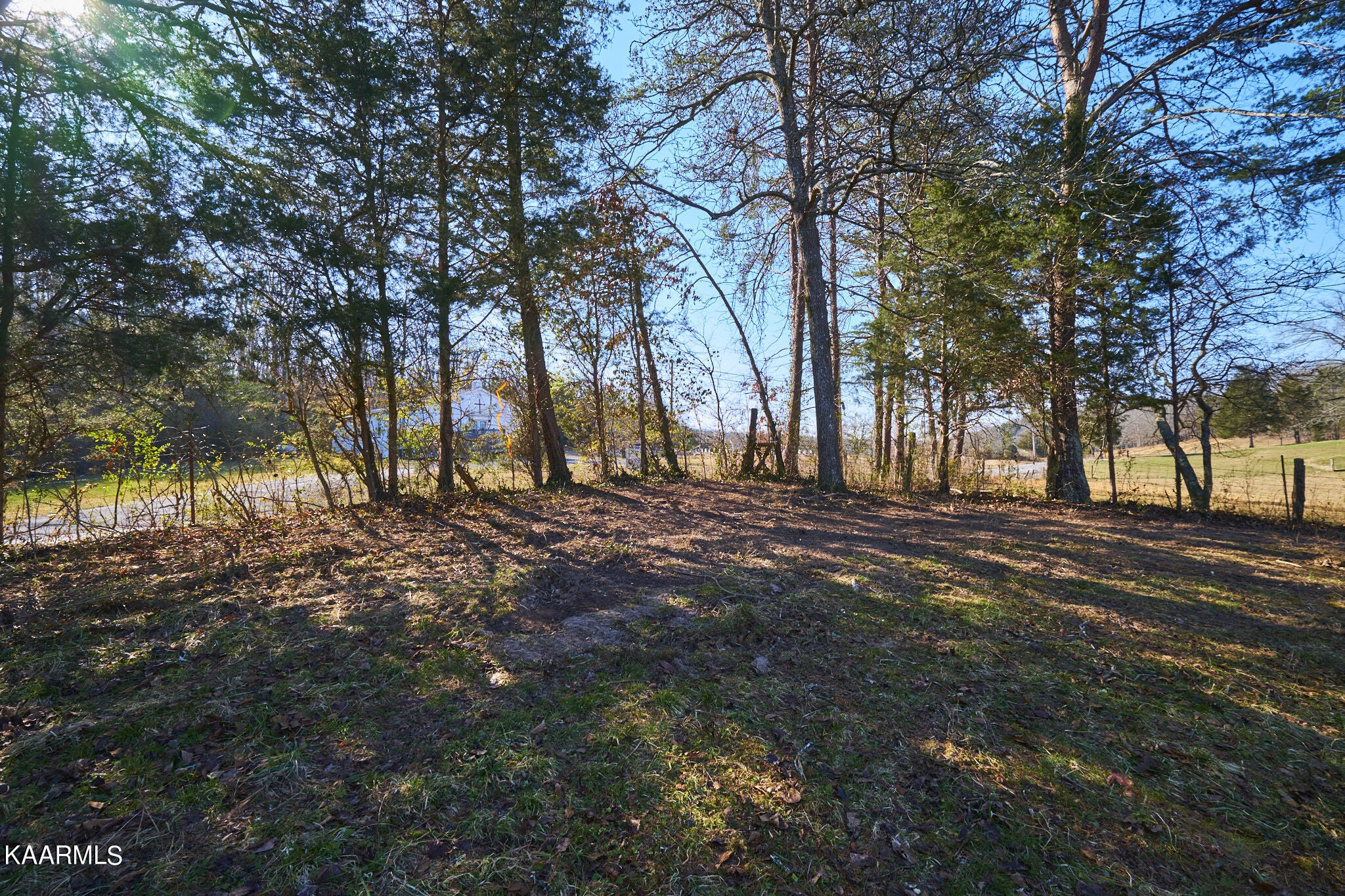 0 Dogtown Road Ten Mile, TN 37880 - Photo 54 of 54 Dogtown Rd