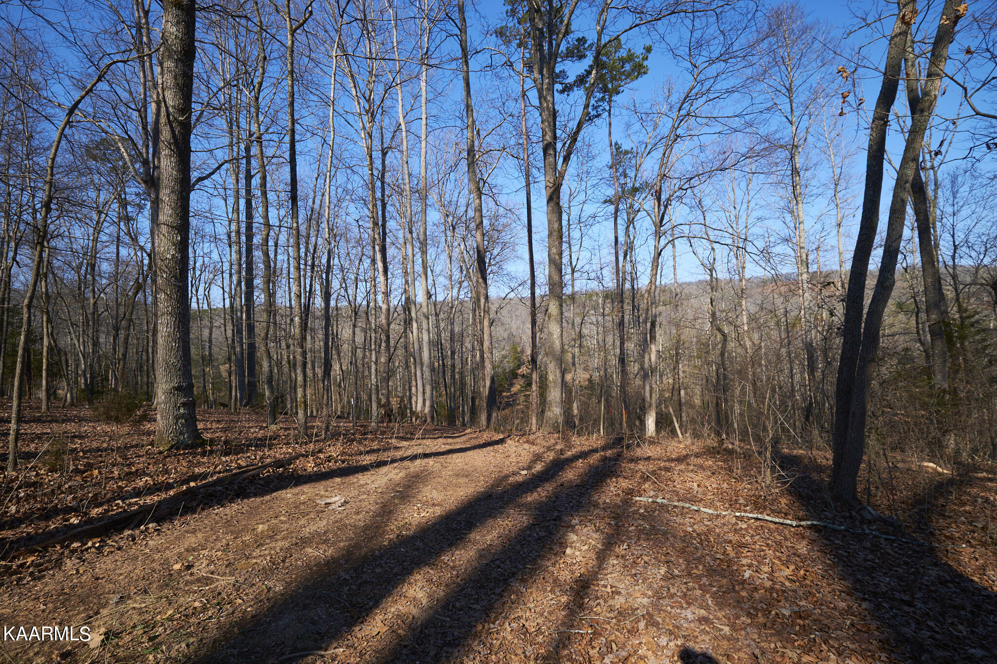 0 Dogtown Road Ten Mile, TN 37880 - Photo 10 of 54 Dogtown Rd 8