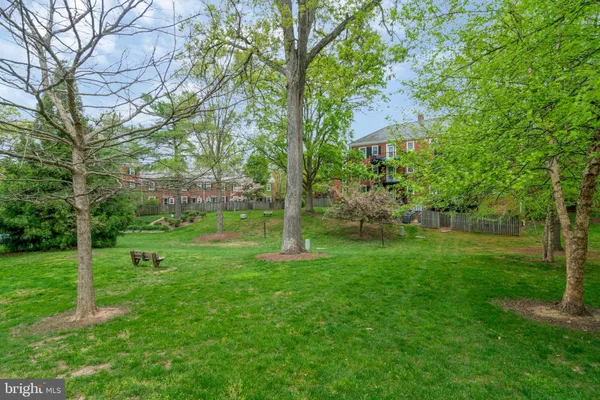 $1,950 | 2961 South Columbus Street, Unit B2, Arlington, VA 22206