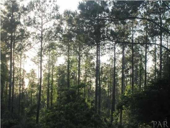 J Ranchers Cv Trail Milton, FL 32570 - Photo 1 of 1