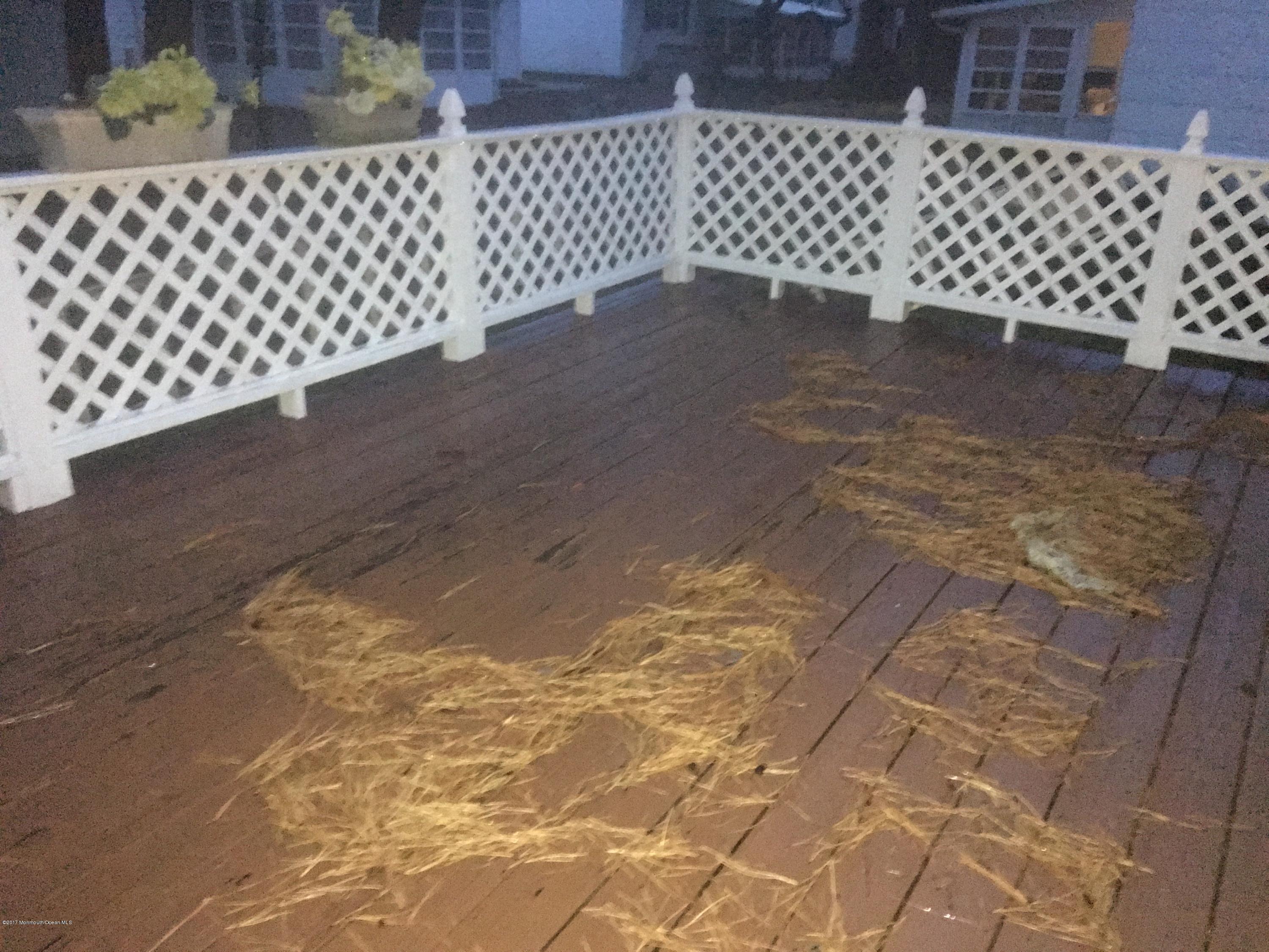 25 Fairfield Road Toms River, NJ 08757 - Photo 20 of 26 Rear Deck